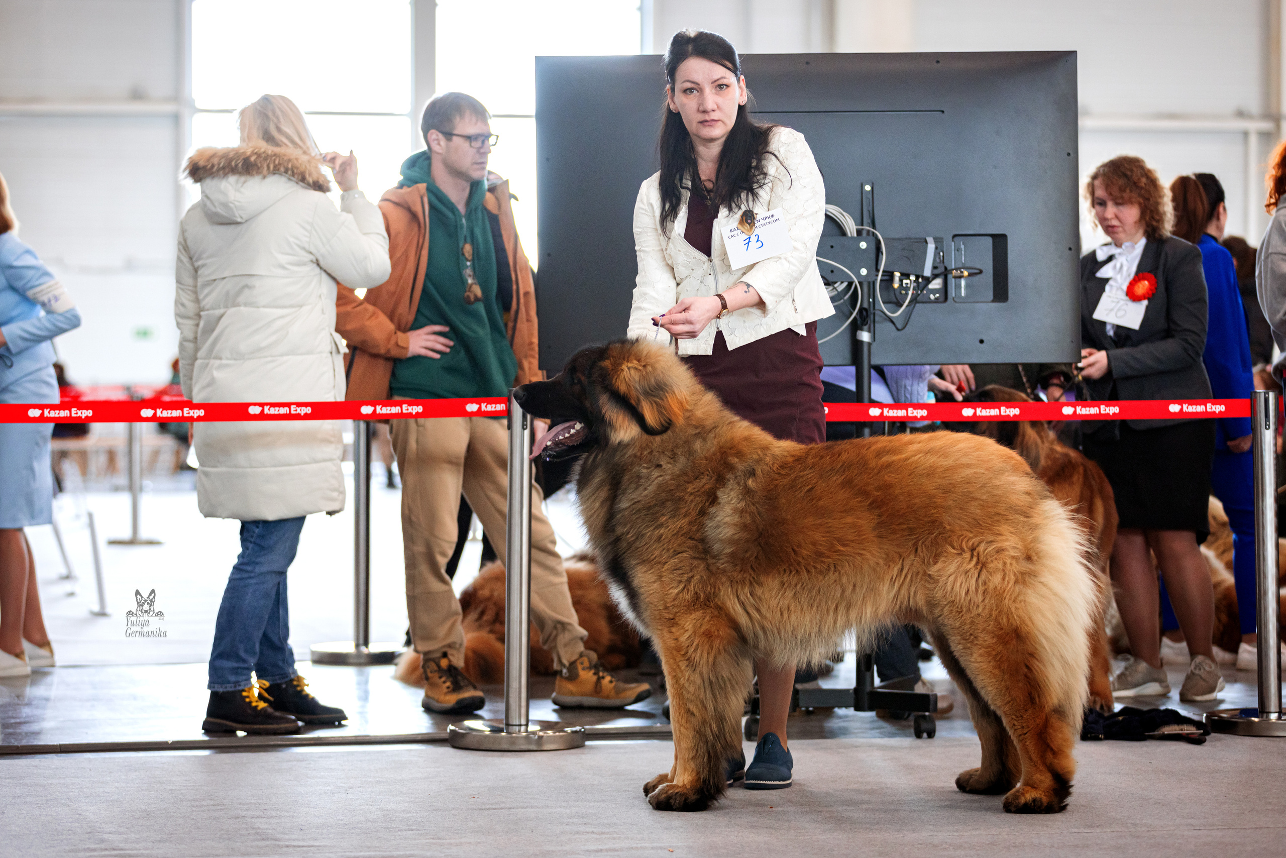 Казань 11.03.2023. Фотограф-анималист Юлия Германика