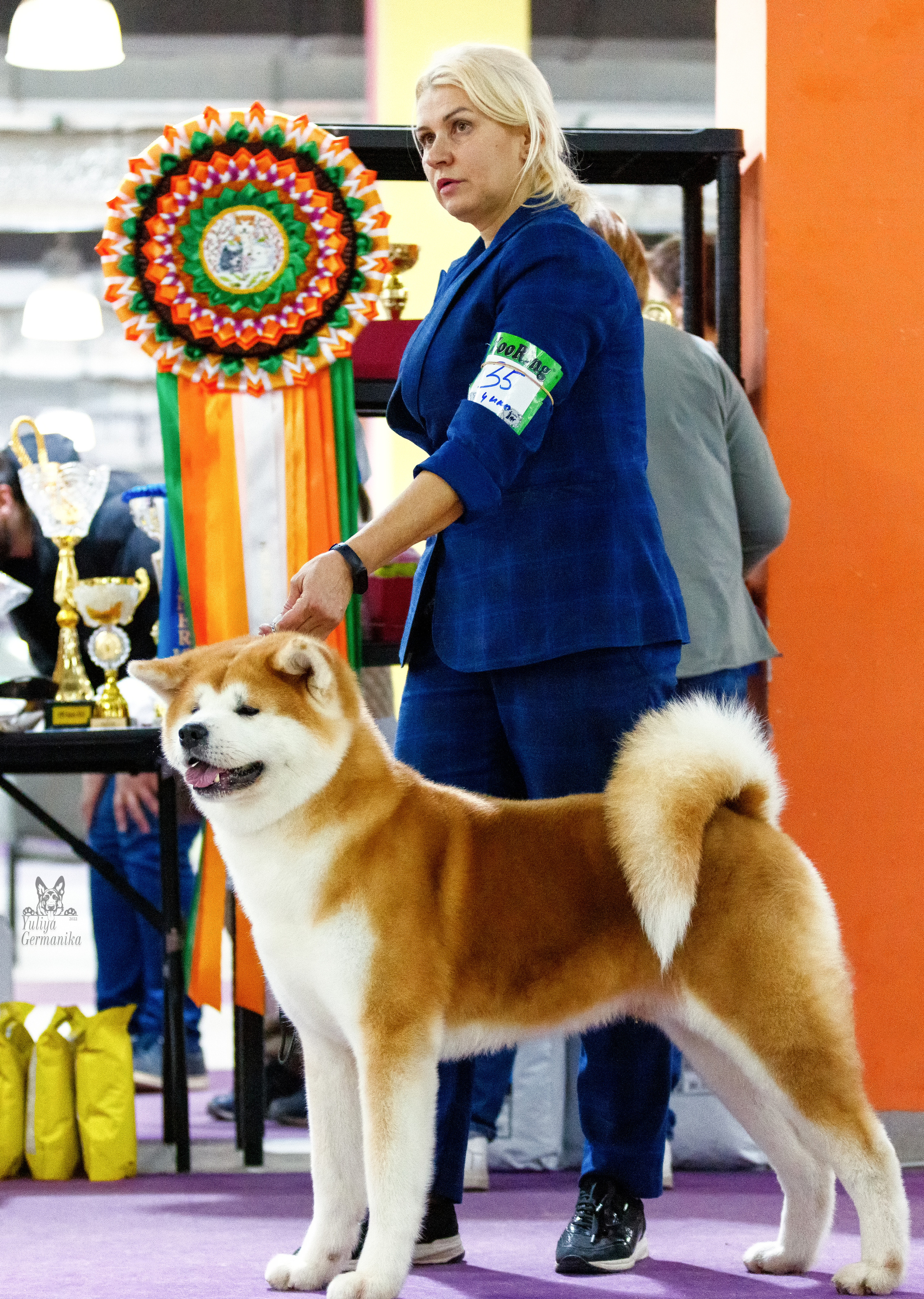 Чайна-Таун 3 и 10.12.2022. Фотограф-анималист Юлия Германика