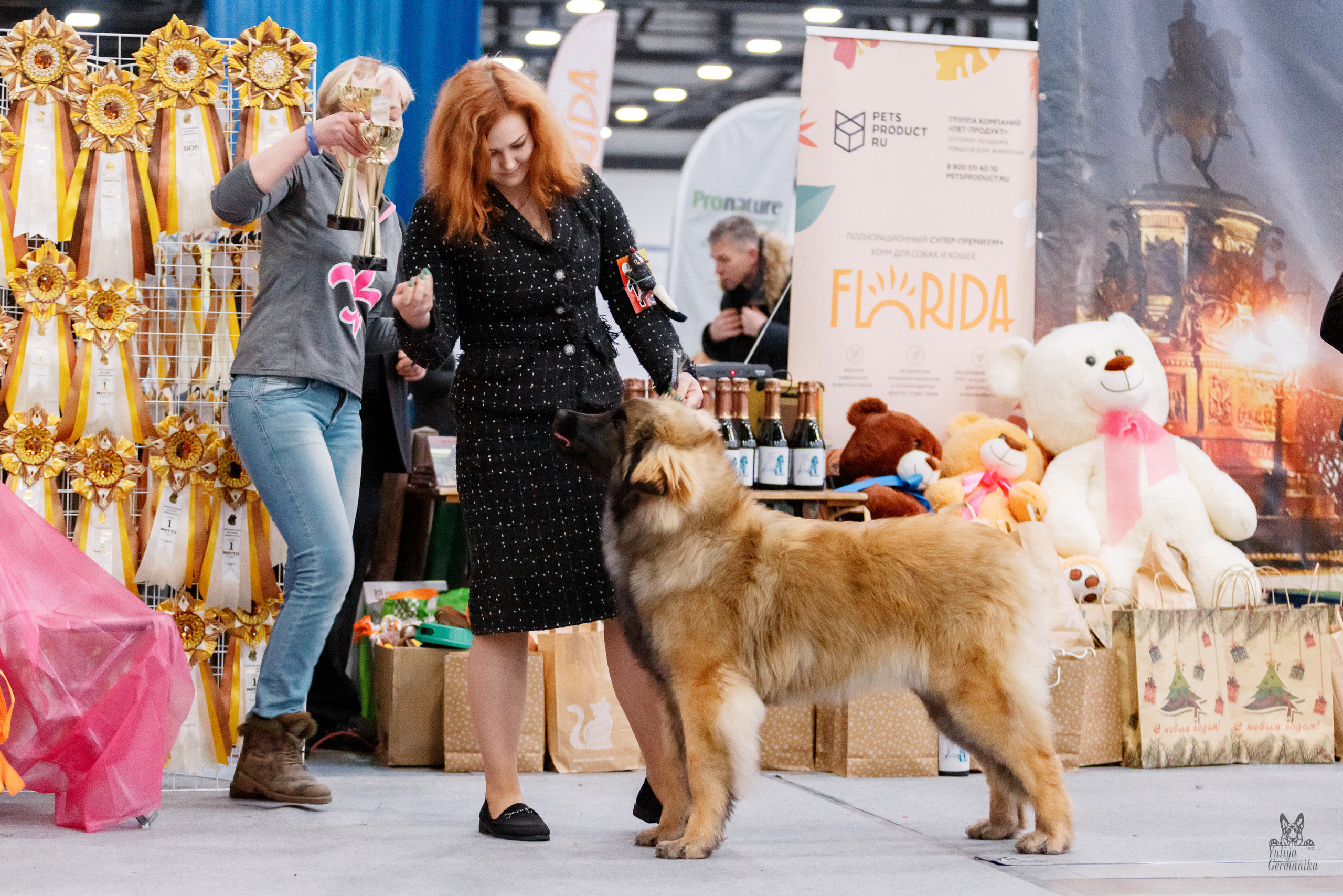 Питер 17-18.12.2022. Фотограф-анималист Юлия Германика