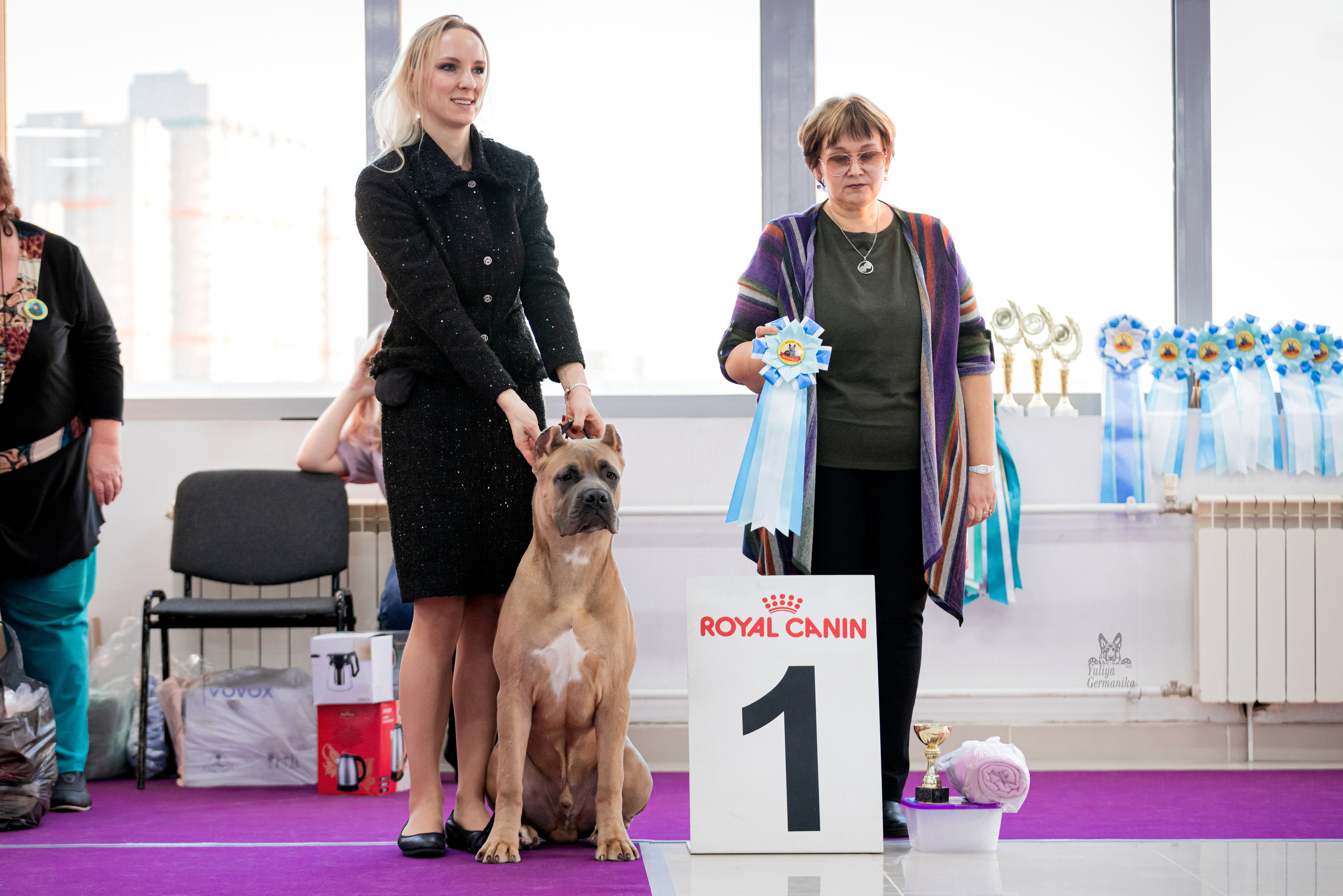 Можайский двор 11-12.02.2023. Фотограф-анималист Юлия Германика