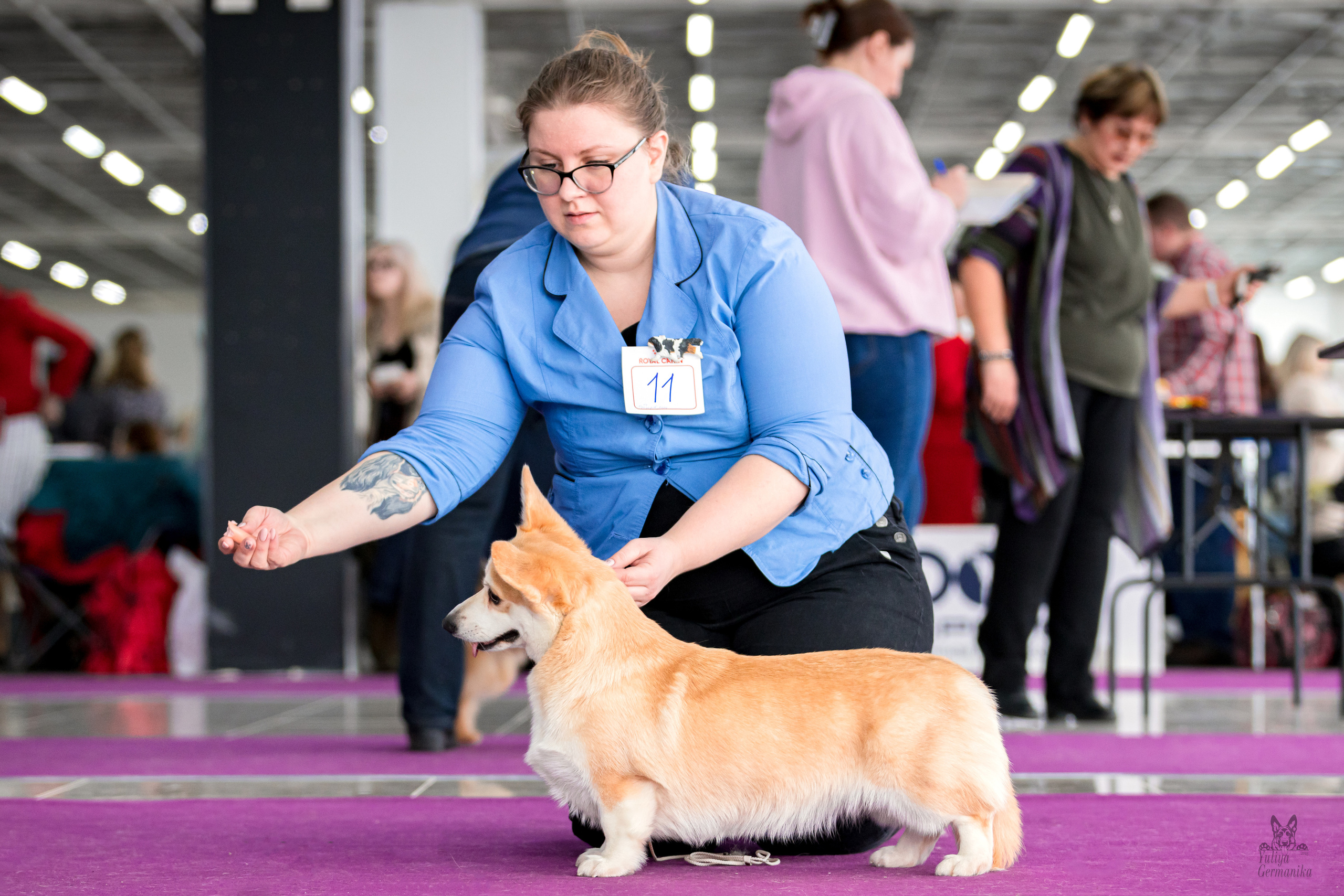 Можайский двор 11-12.02.2023. Фотограф-анималист Юлия Германика