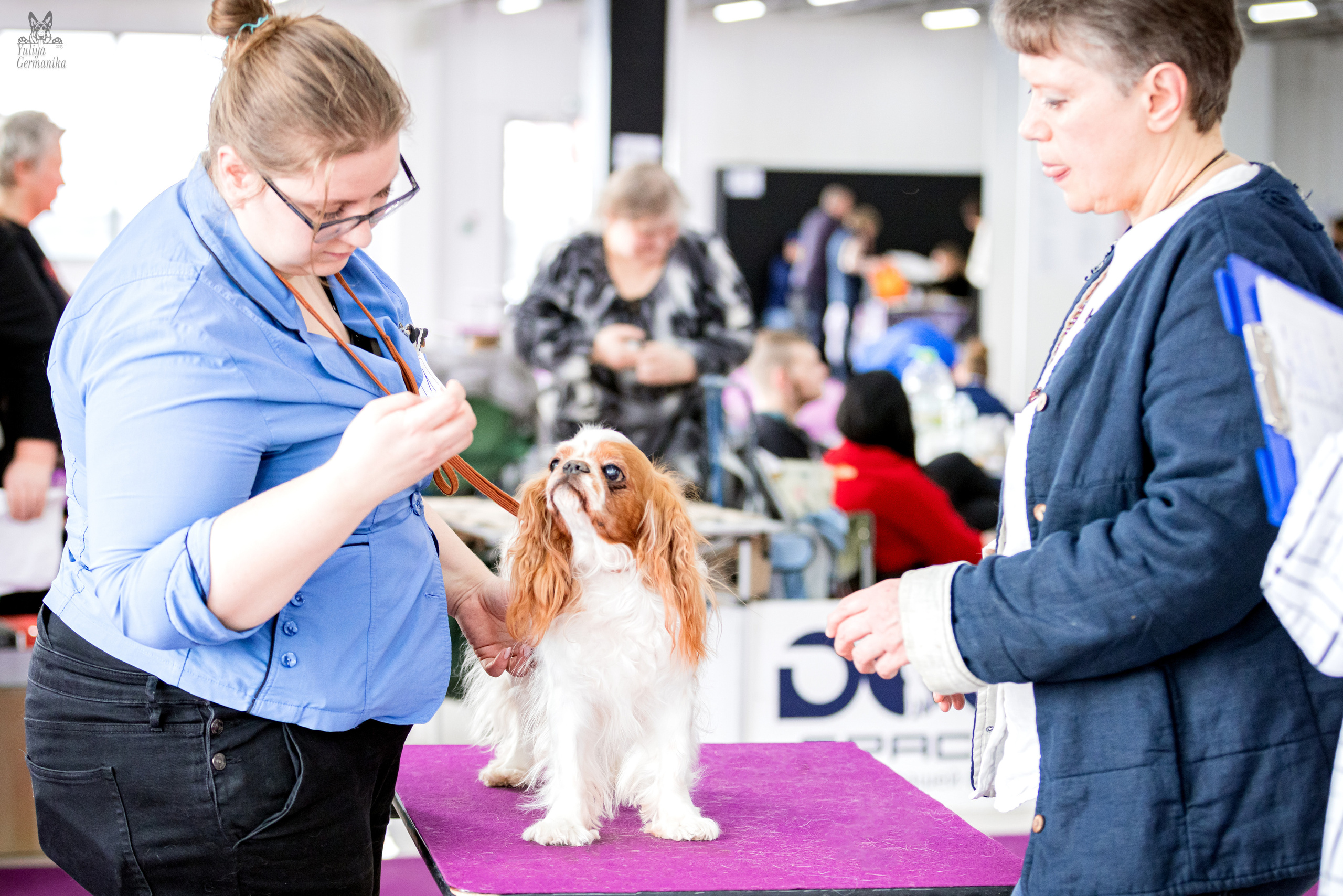 Можайский двор 11-12.02.2023. Фотограф-анималист Юлия Германика