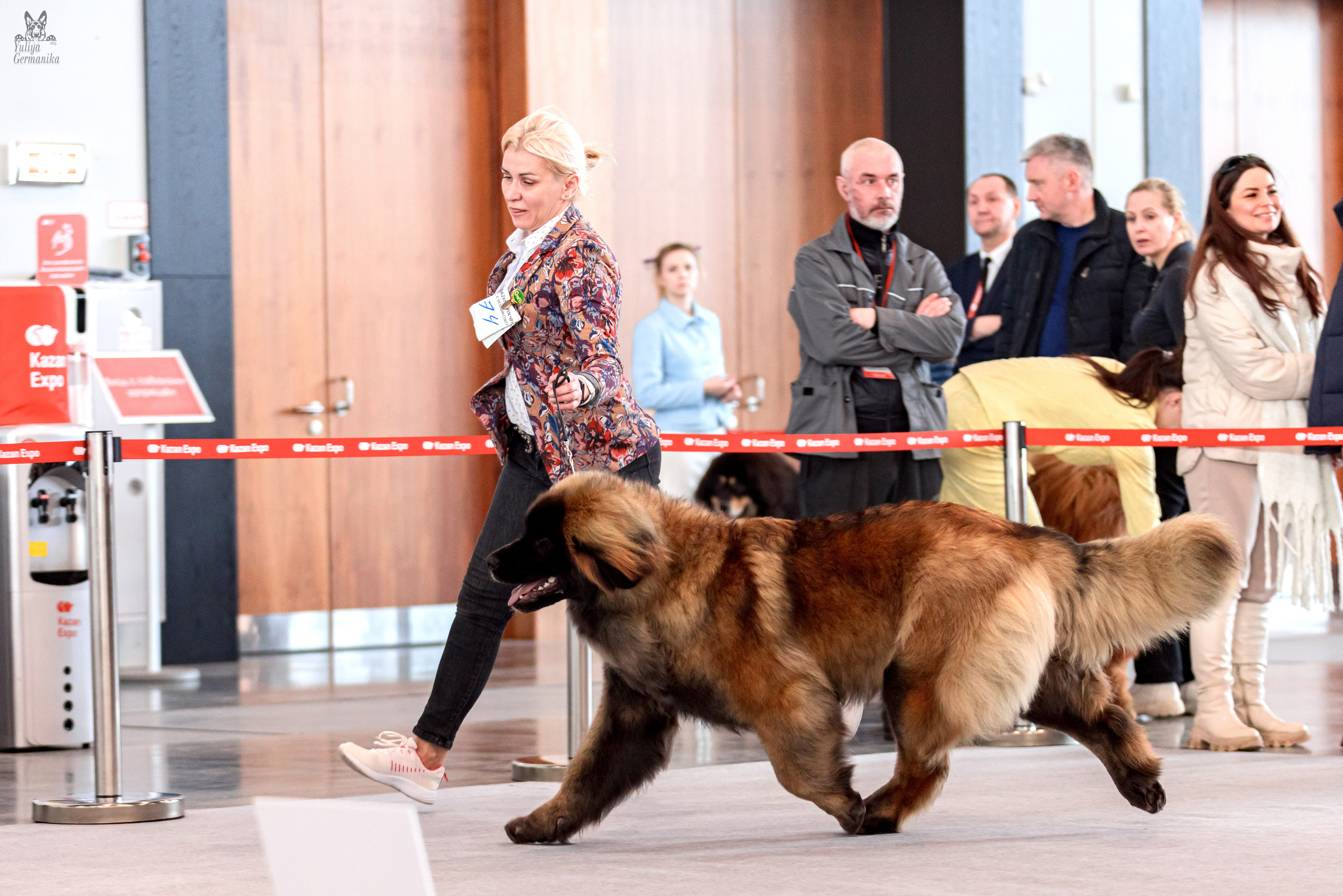 Казань 11.03.2023. Фотограф-анималист Юлия Германика