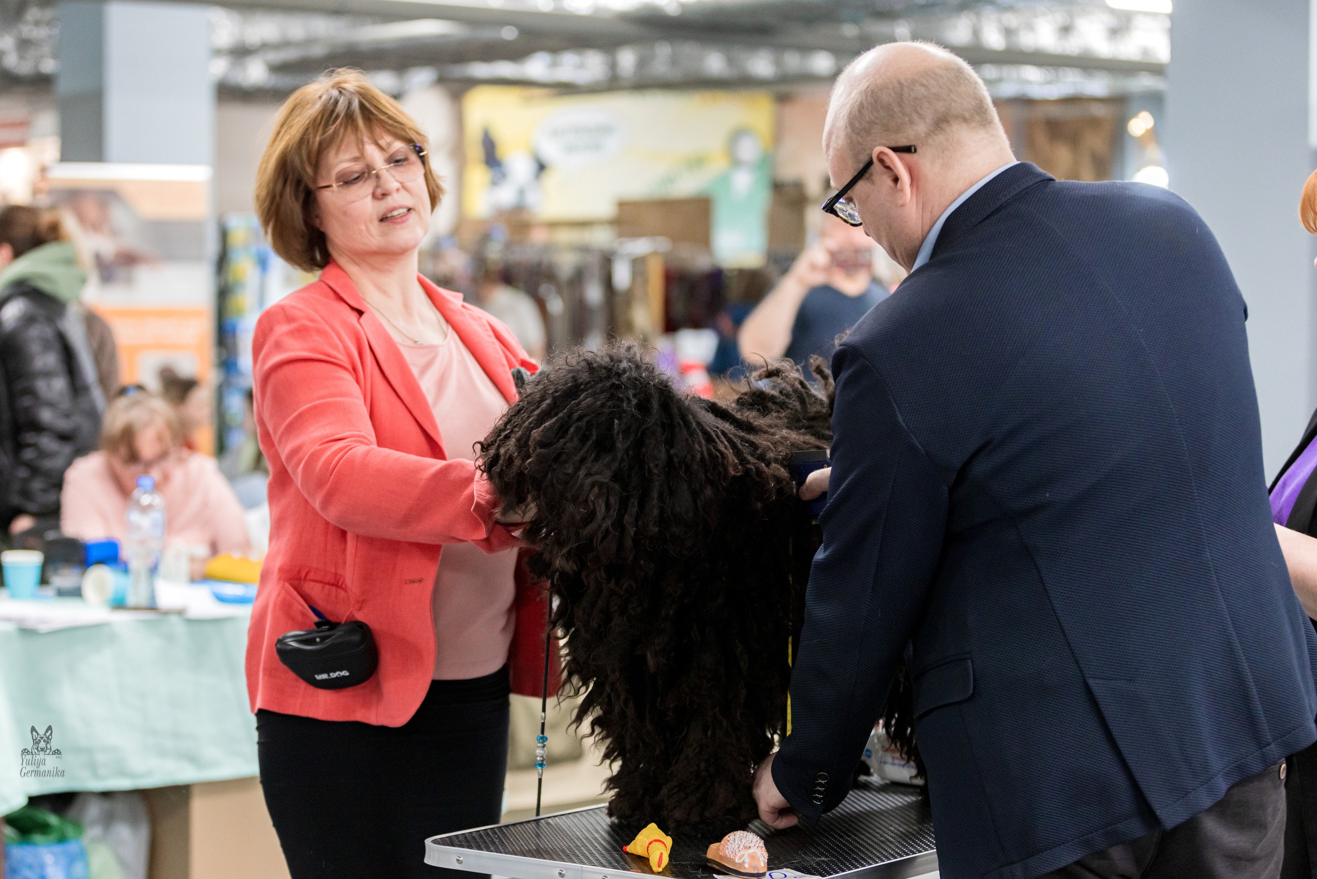 Сфера 5.03.2023. Фотограф-анималист Юлия Германика