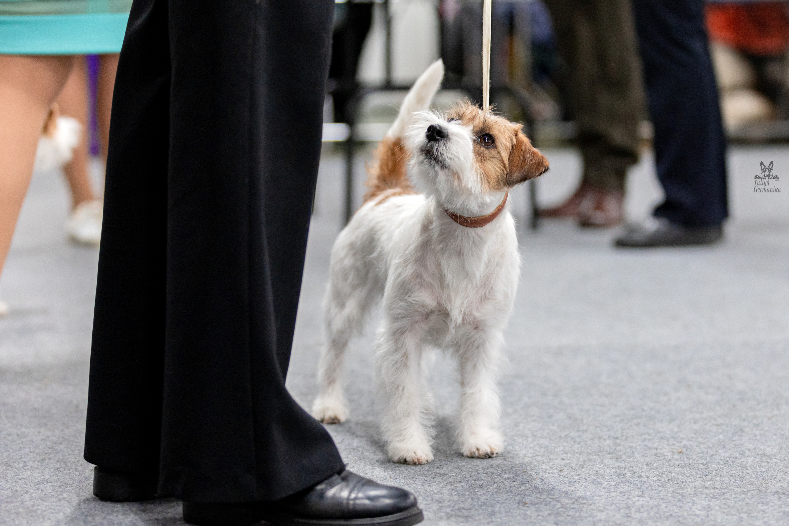 Сфера 5.03.2023. Фотограф-анималист Юлия Германика