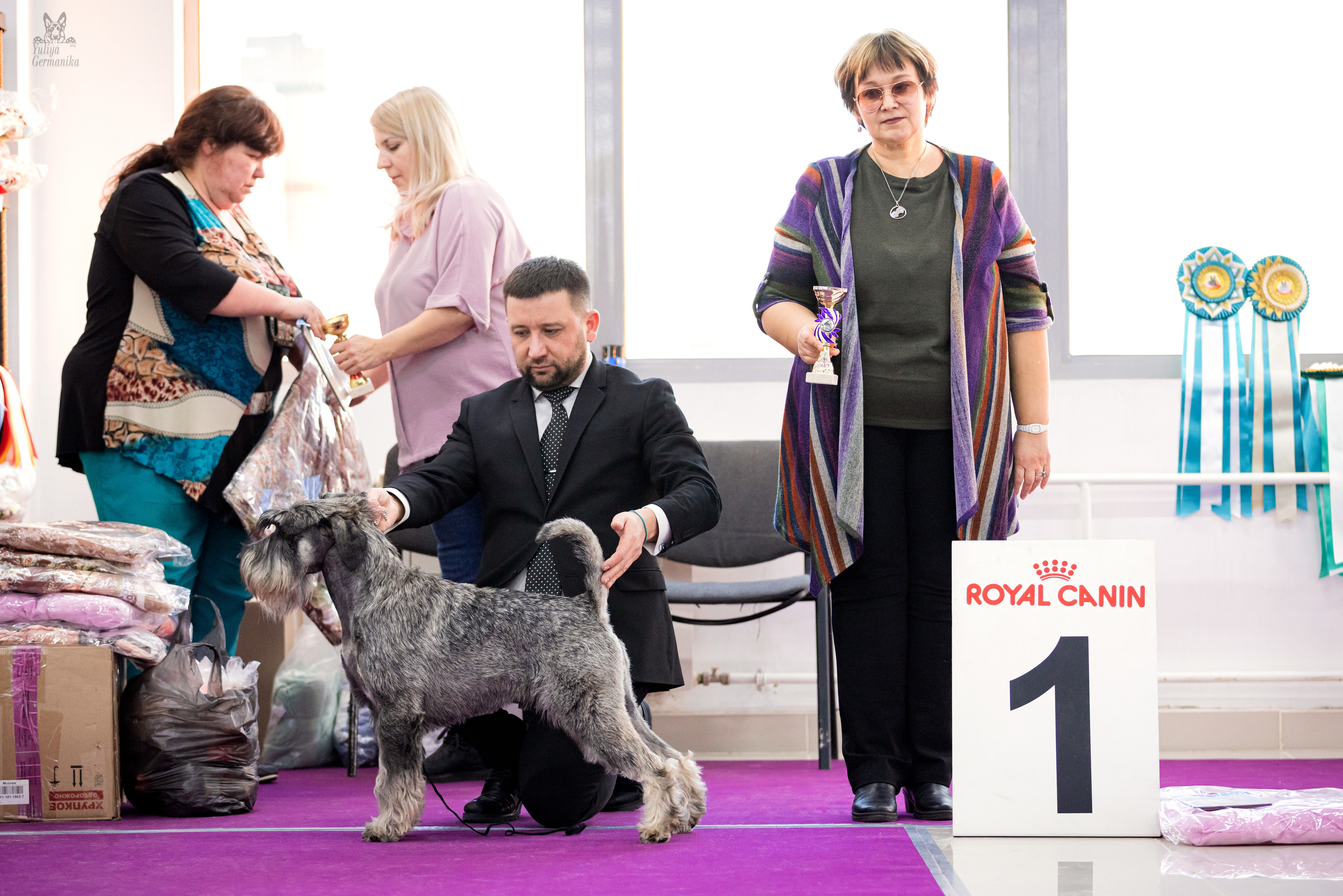 Можайский двор 11-12.02.2023. Фотограф-анималист Юлия Германика