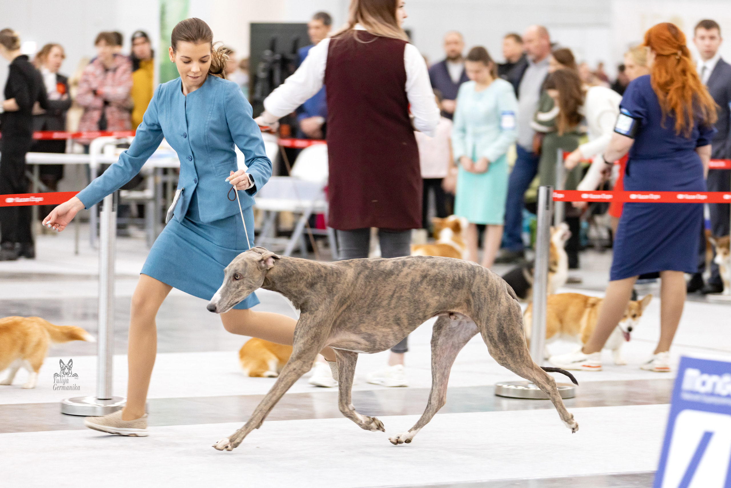 Сабанеевка,Казань 28-29.01.2023. Фотограф-анималист Юлия Германика