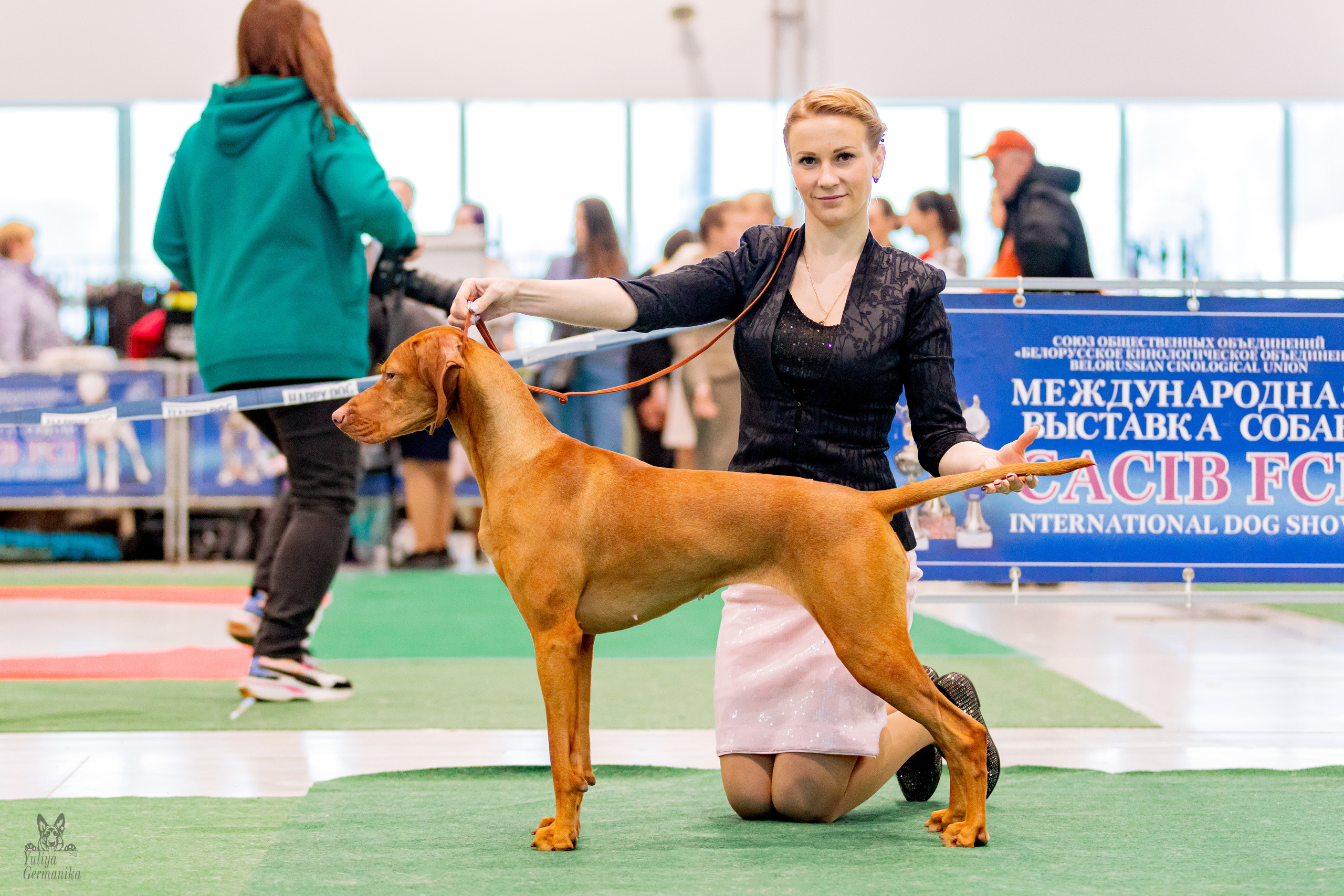 Минск 25-26.02.2023. Фотограф-анималист Юлия Германика