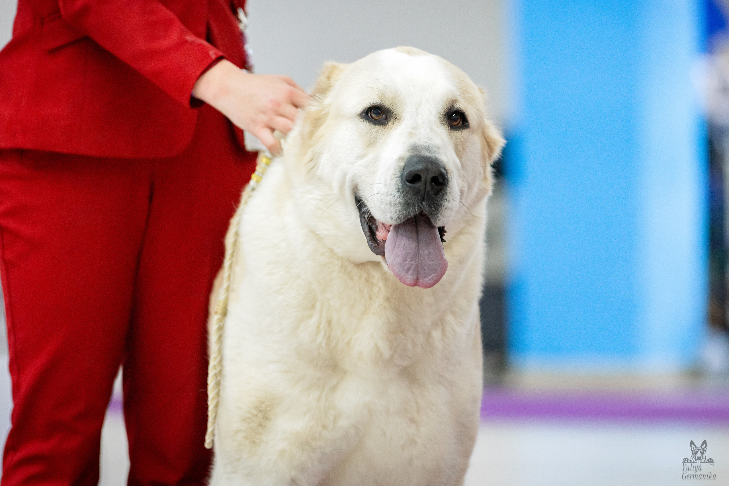 Чайна-Таун 5-8.01.2023. Фотограф-анималист Юлия Германика