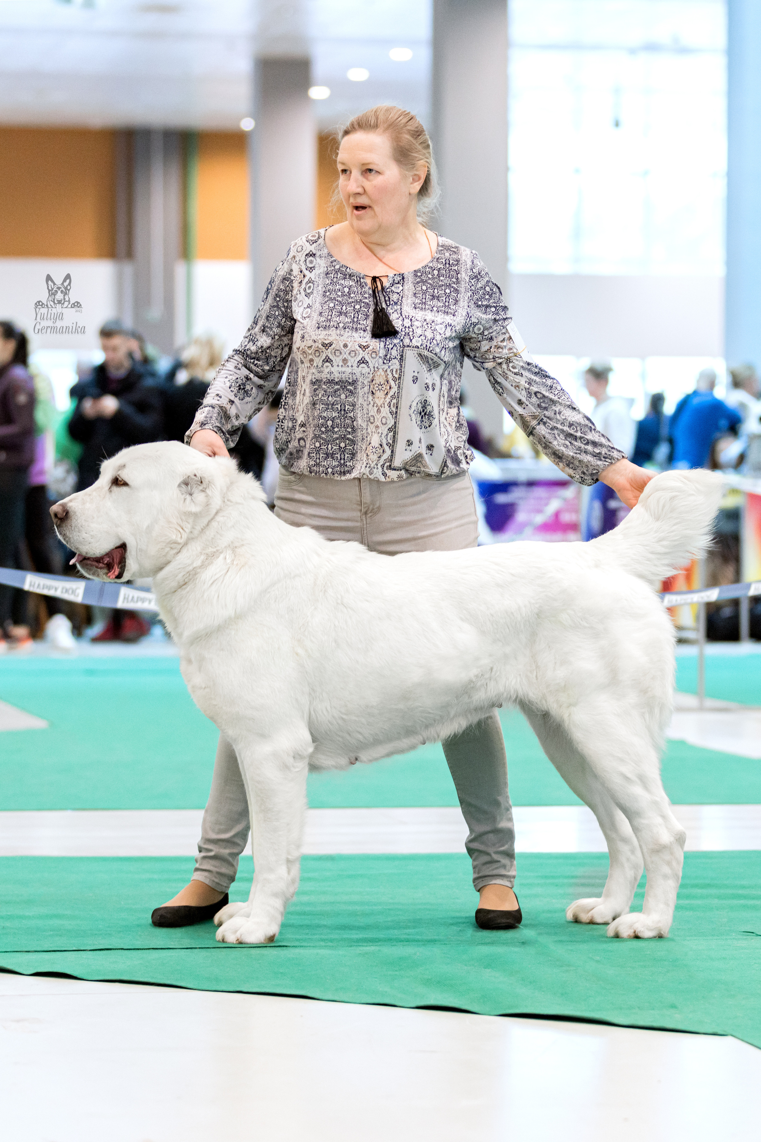Минск 25-26.02.2023. Фотограф-анималист Юлия Германика