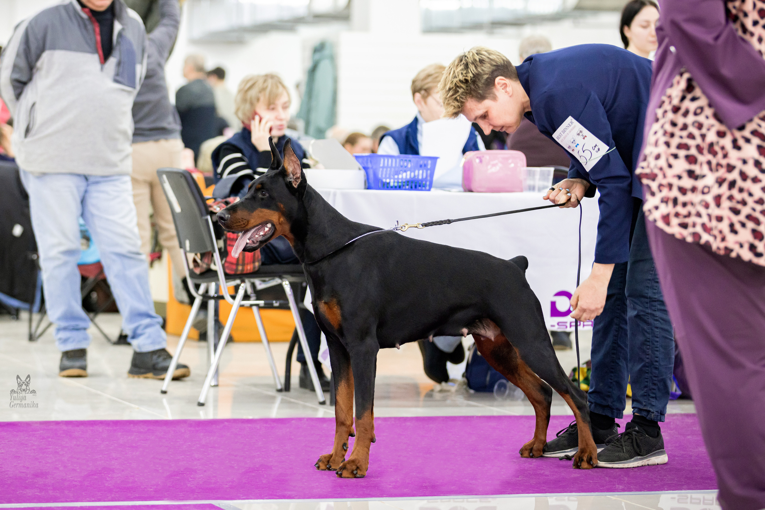 Можайский двор 11-12.02.2023. Фотограф-анималист Юлия Германика