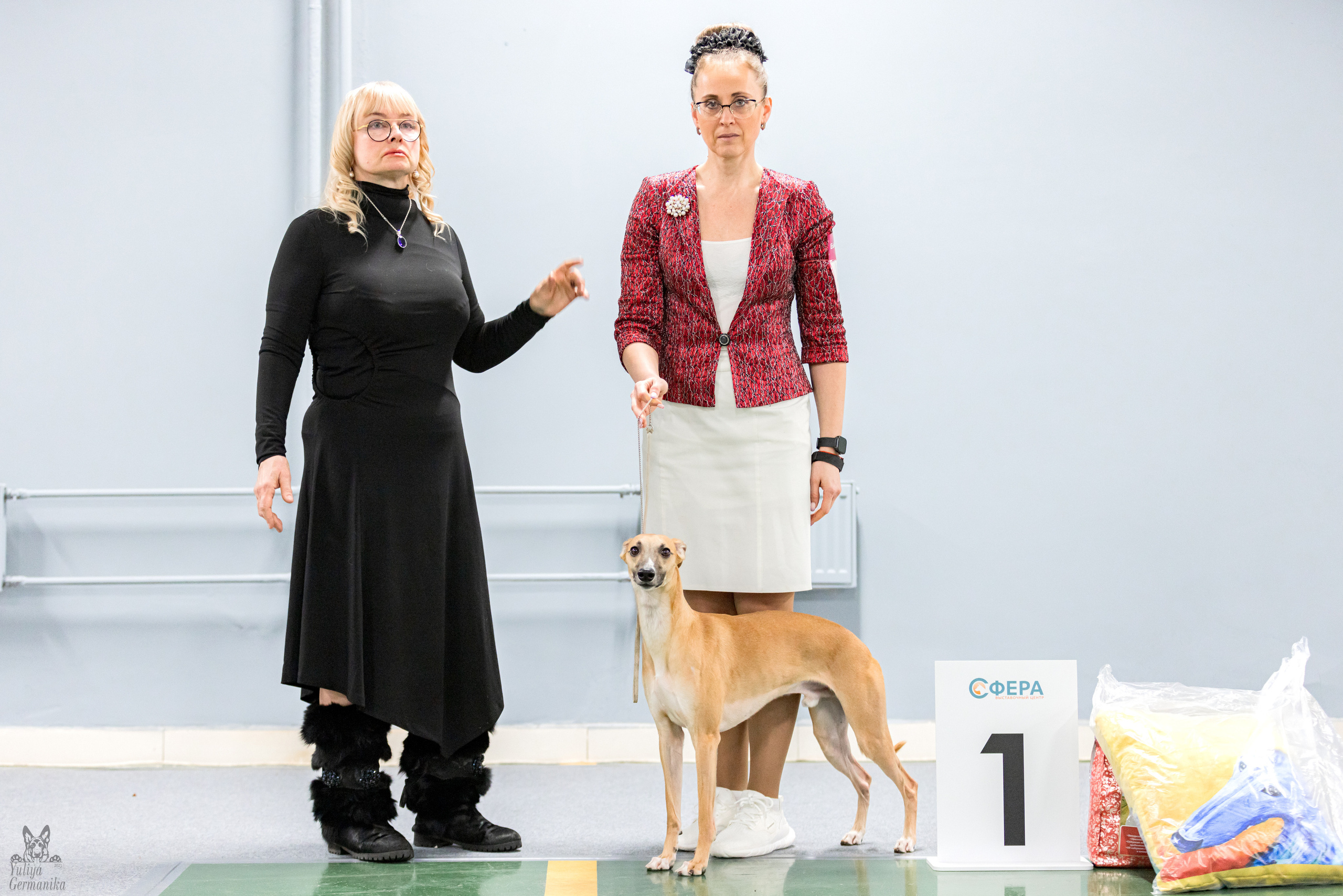 Сфера 5.03.2023. Фотограф-анималист Юлия Германика