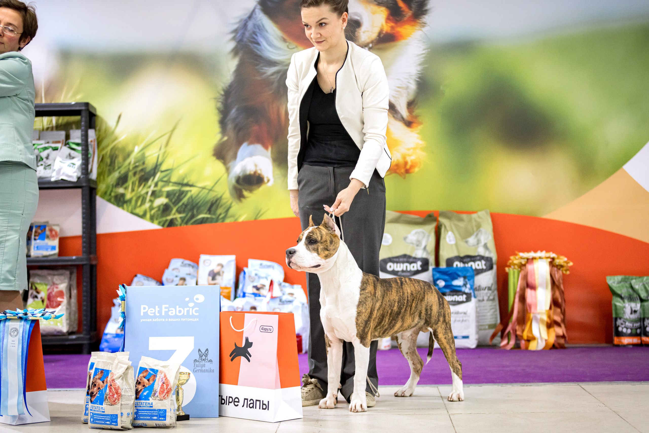 Чайна-Таун 15,21 и 22.01.2023. Фотограф-анималист Юлия Германика