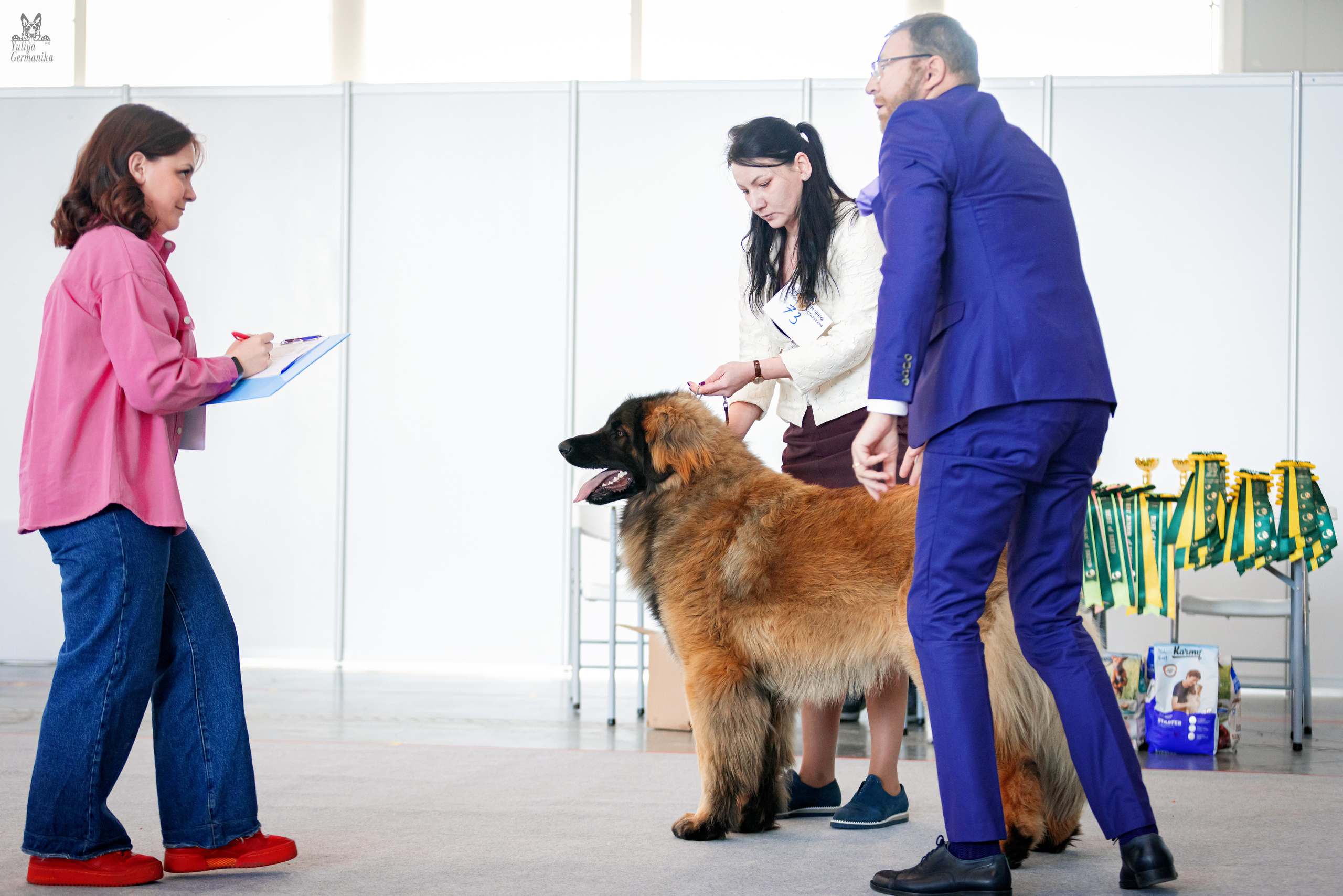 Казань 11.03.2023. Фотограф-анималист Юлия Германика