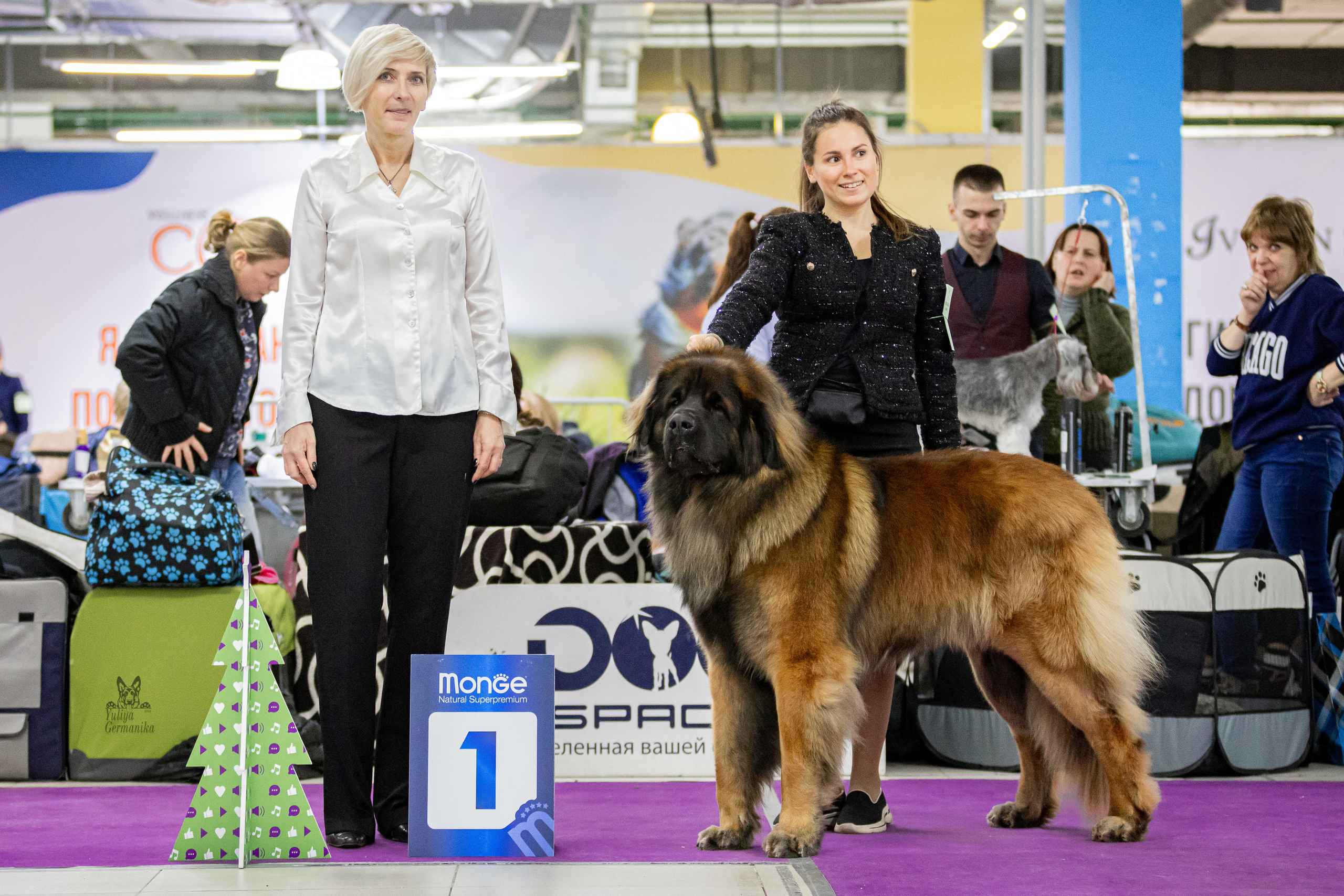 Чайна-Таун 24-25.12.2022. Фотограф-анималист Юлия Германика