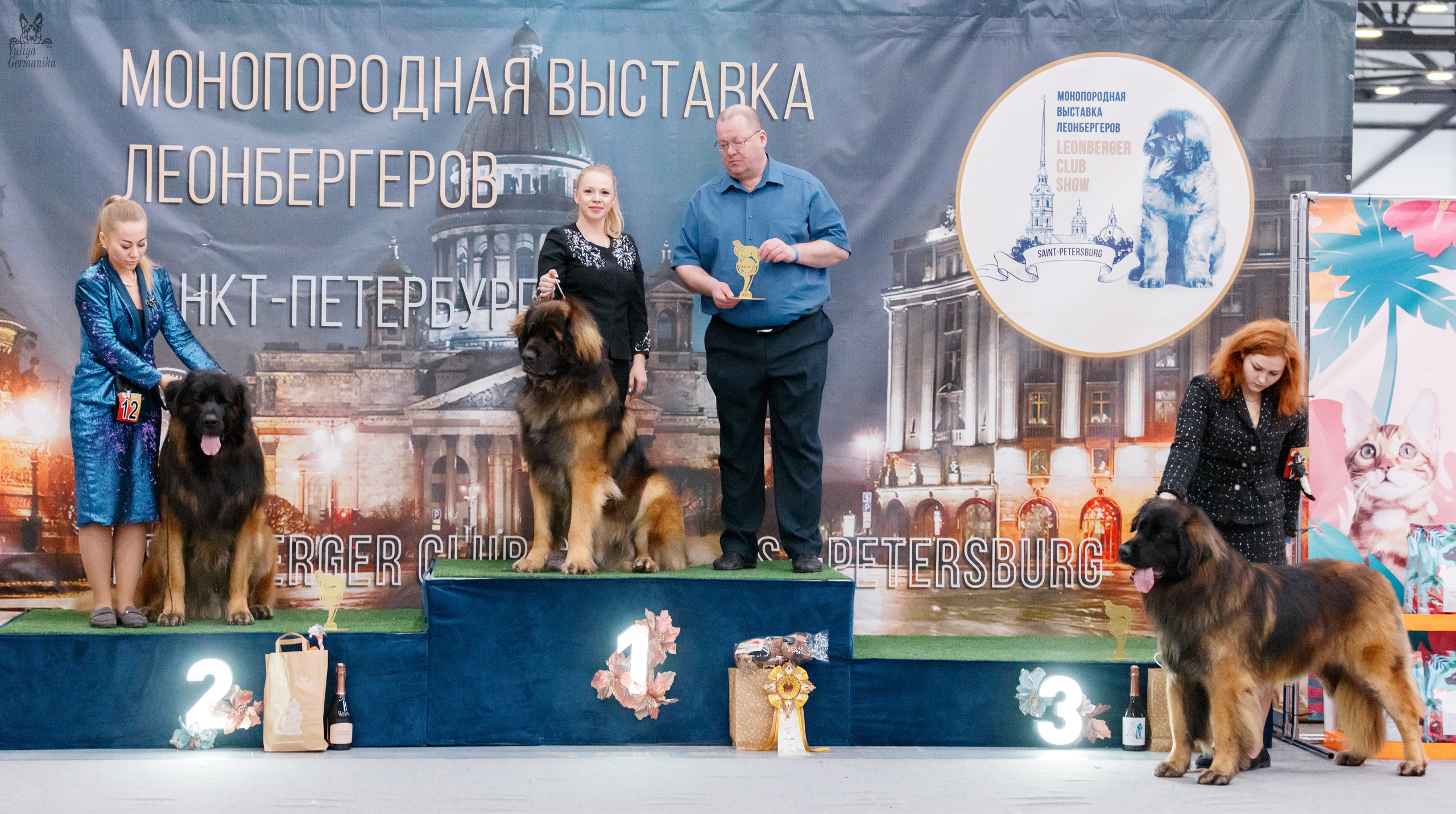 Питер 17-18.12.2022. Фотограф-анималист Юлия Германика