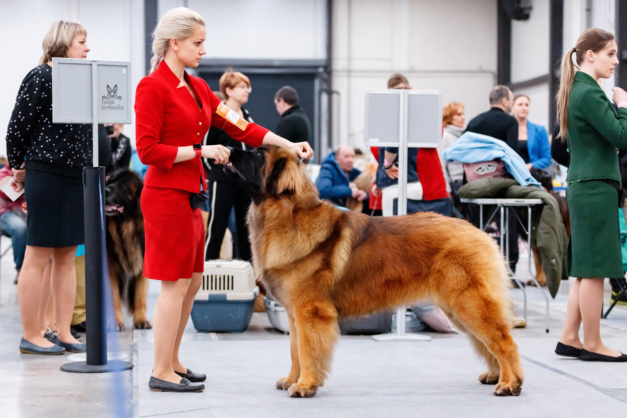 Питер 17-18.12.2022. Фотограф-анималист Юлия Германика