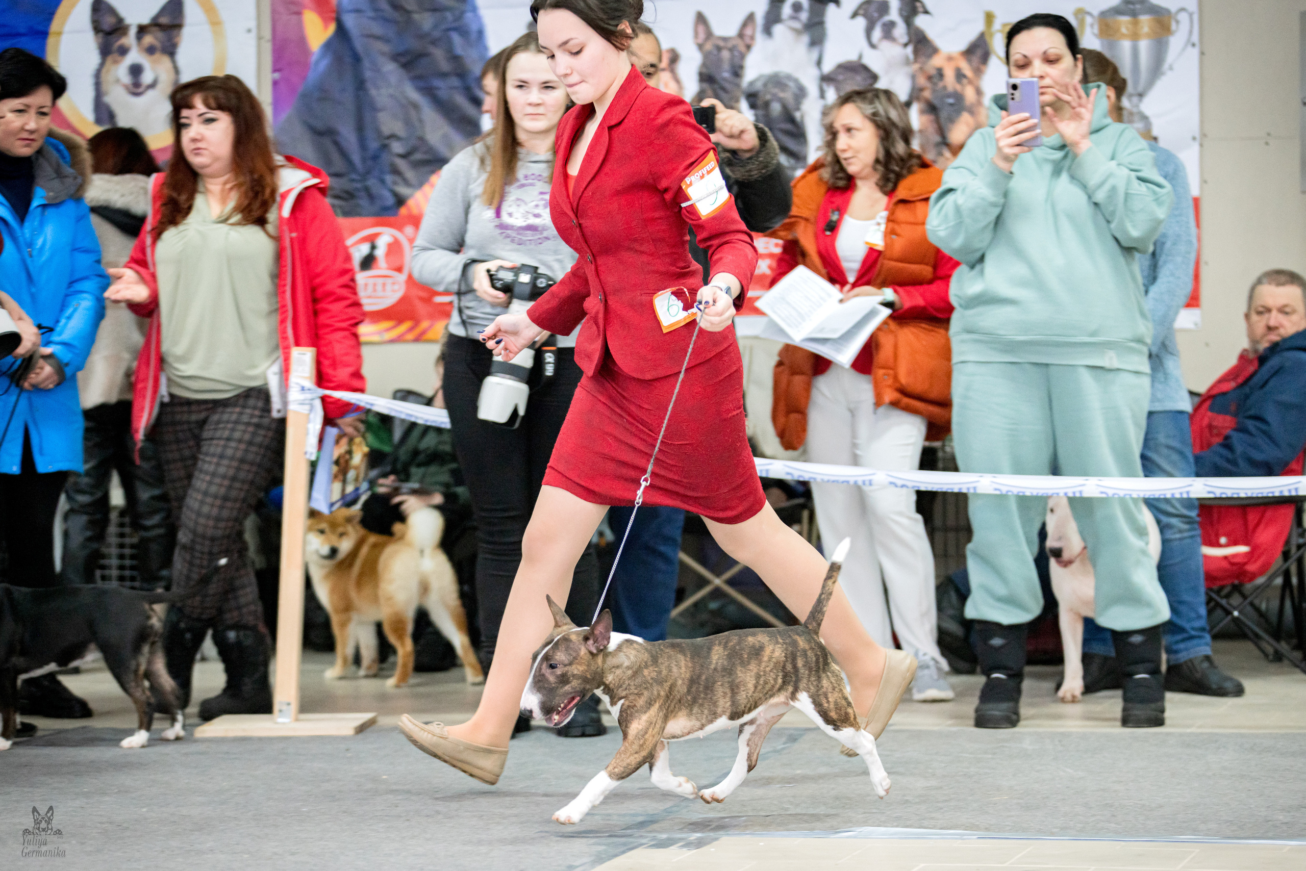 Тверь 19.02.2023. Фотограф-анималист Юлия Германика