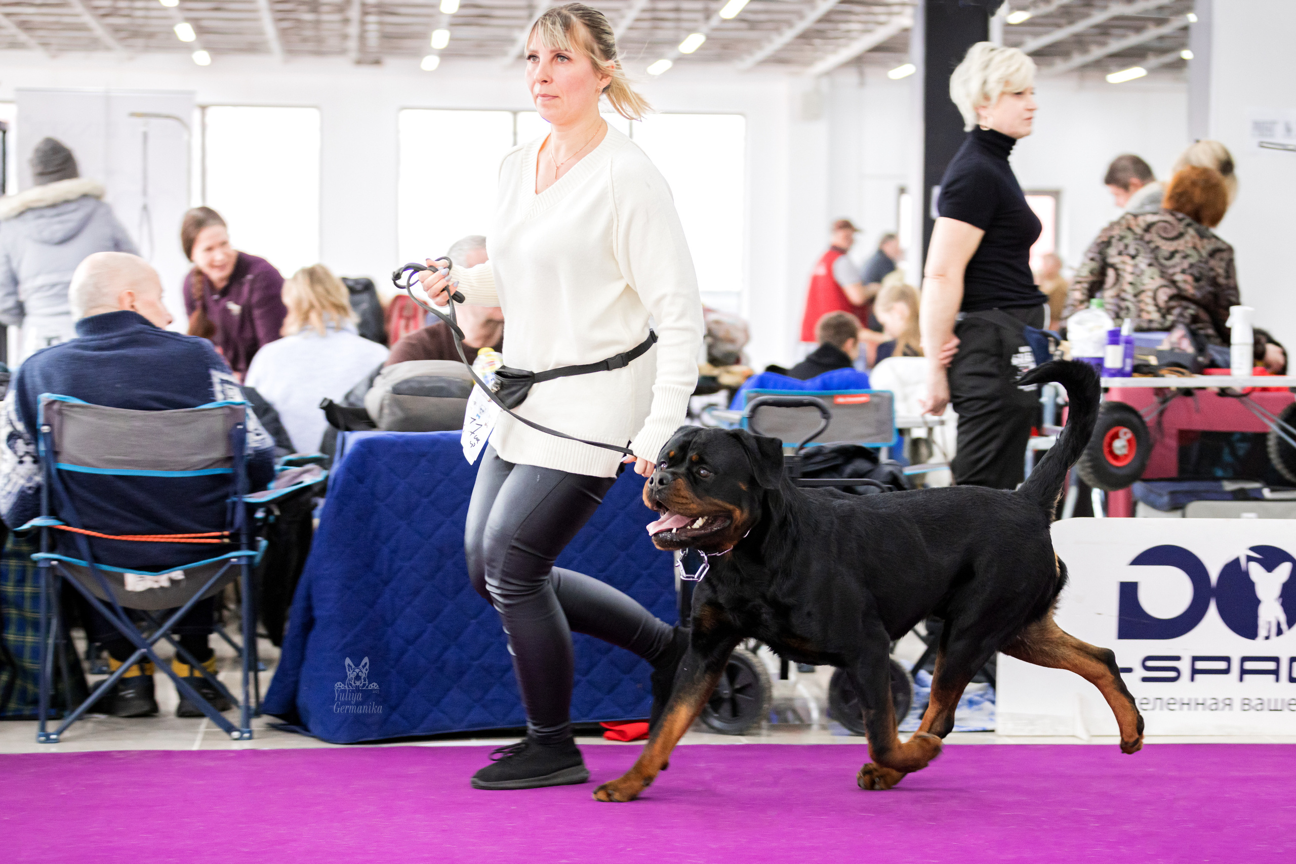 Можайский двор 11-12.02.2023. Фотограф-анималист Юлия Германика