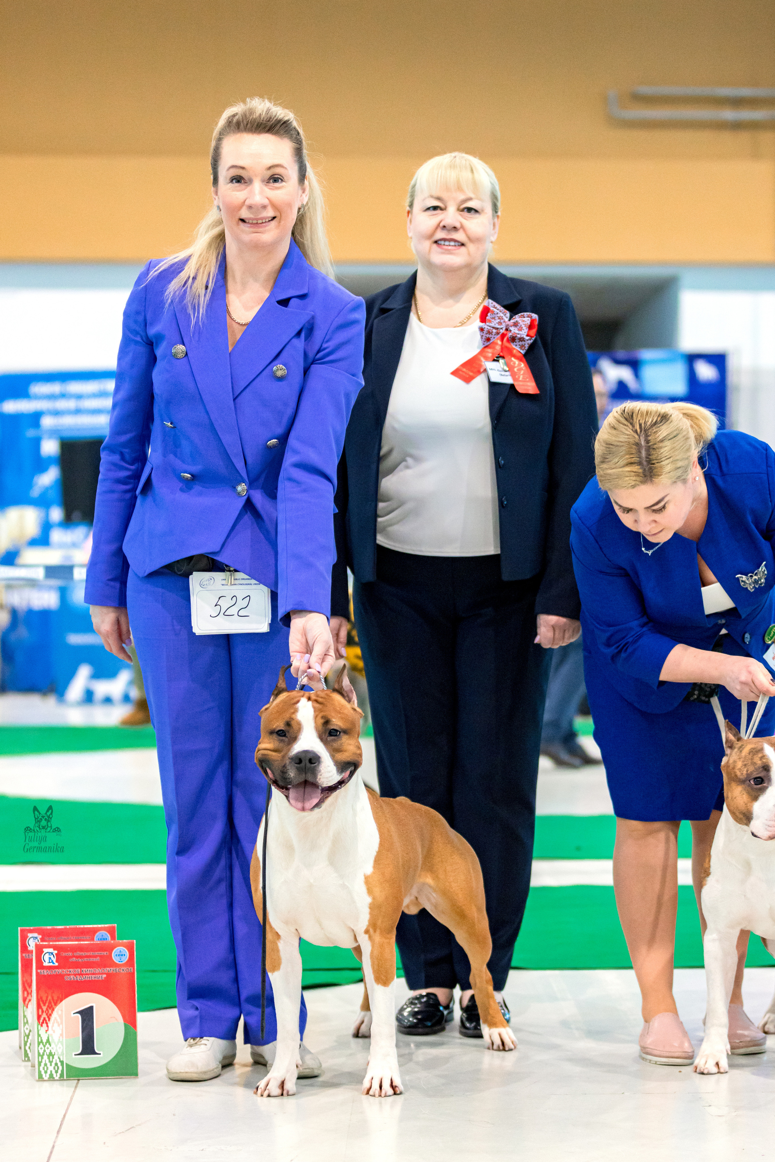 Минск 25-26.02.2023. Фотограф-анималист Юлия Германика