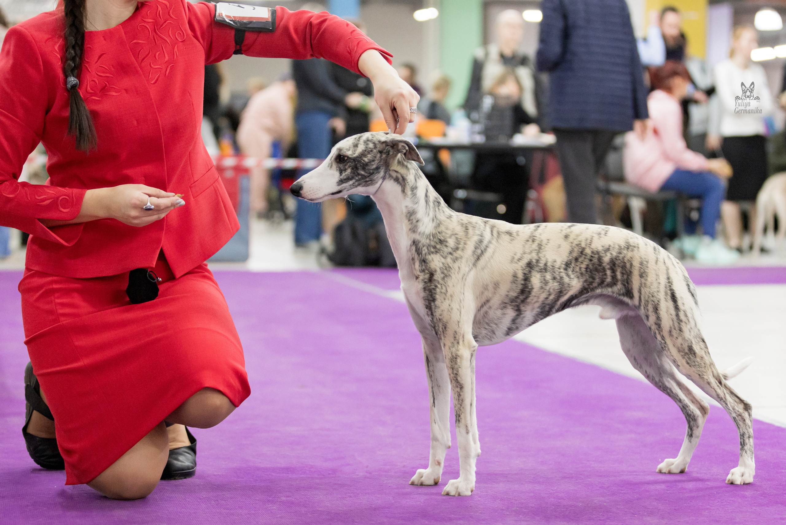 Чайна-Таун 5-8.01.2023. Фотограф-анималист Юлия Германика