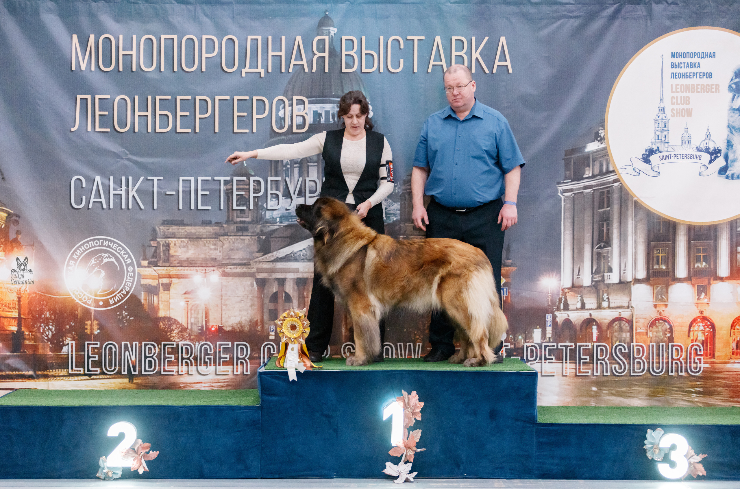 Питер 17-18.12.2022. Фотограф-анималист Юлия Германика