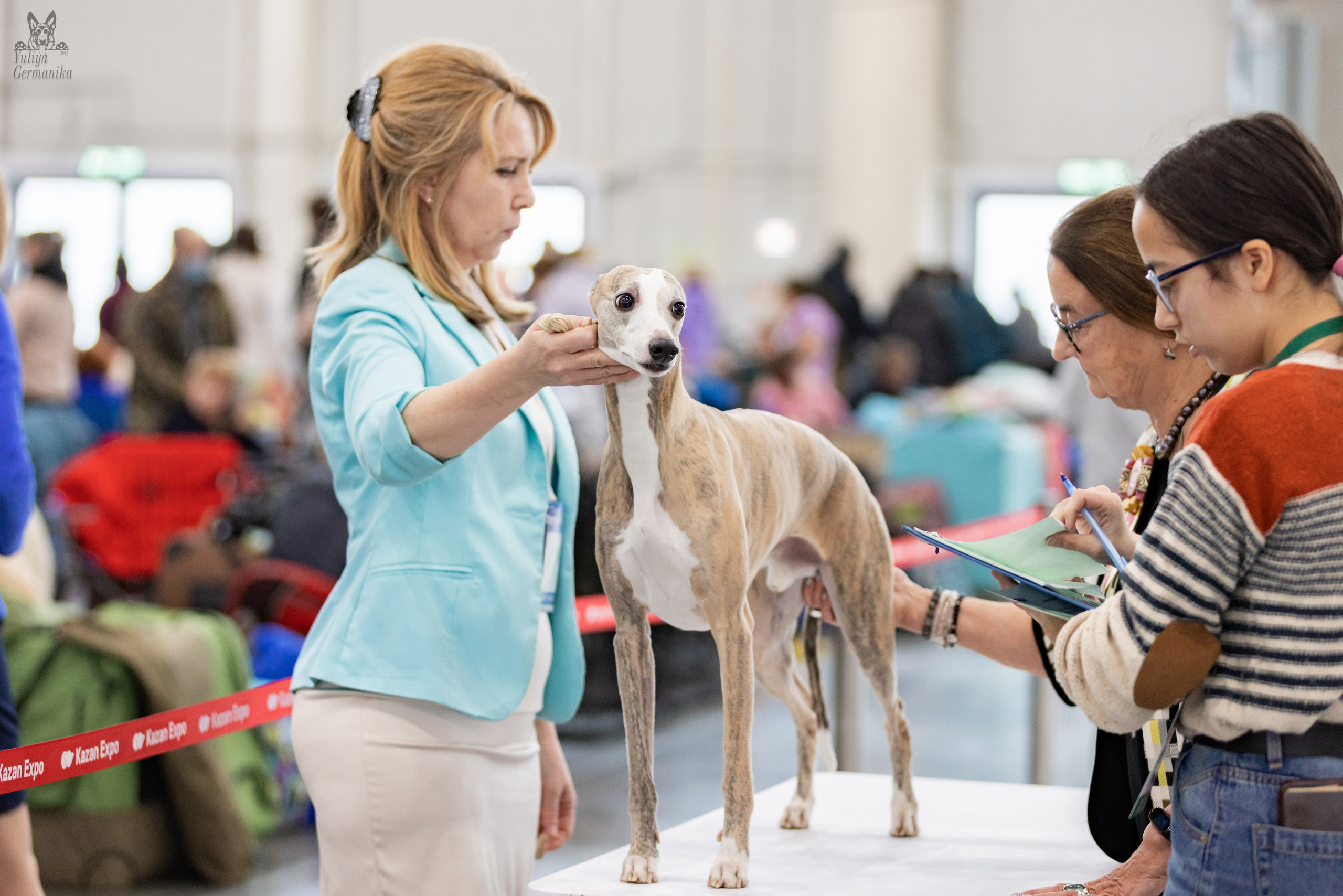 Сабанеевка,Казань 28-29.01.2023. Фотограф-анималист Юлия Германика