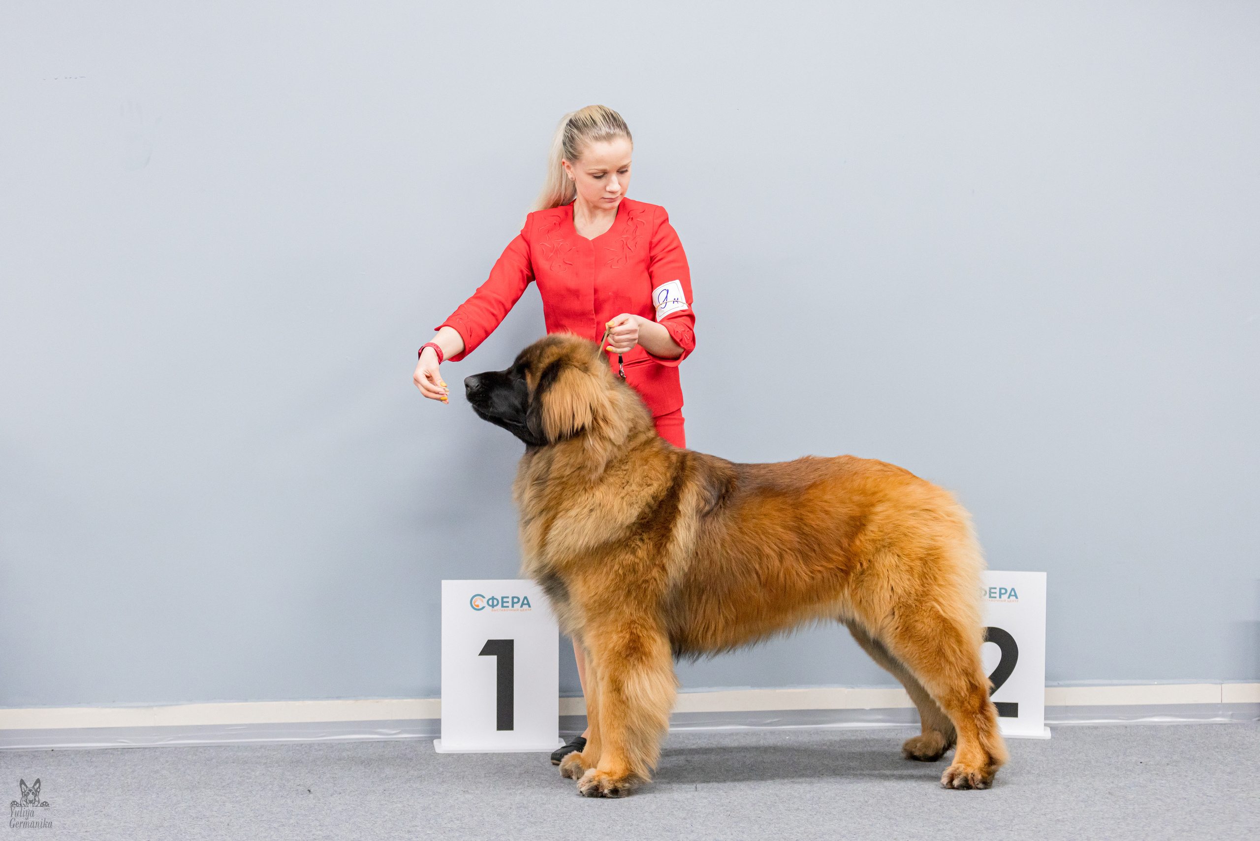 Сфера 5.03.2023. Фотограф-анималист Юлия Германика