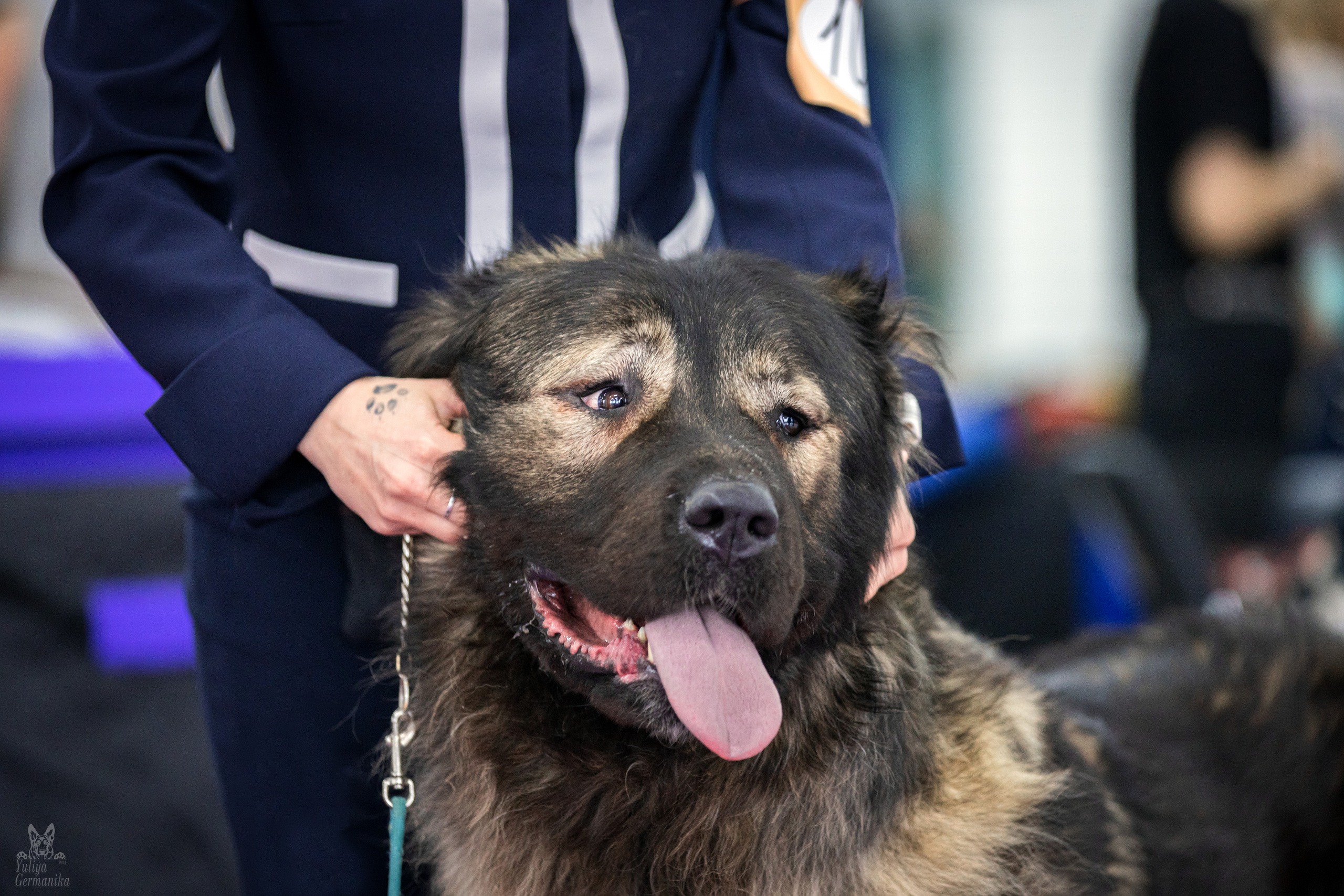 Можайский двор 11-12.02.2023. Фотограф-анималист Юлия Германика