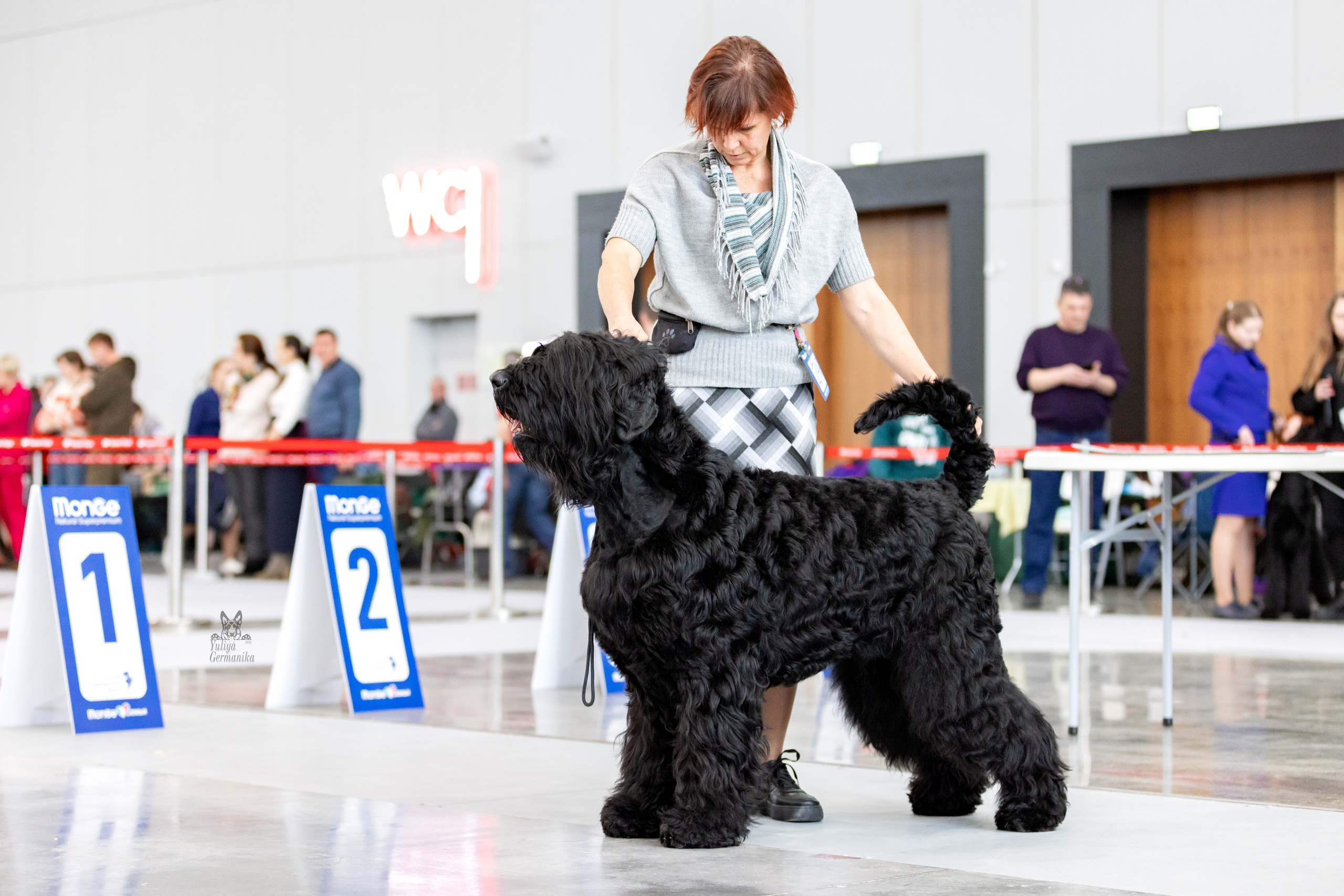 Сабанеевка,Казань 28-29.01.2023. Фотограф-анималист Юлия Германика