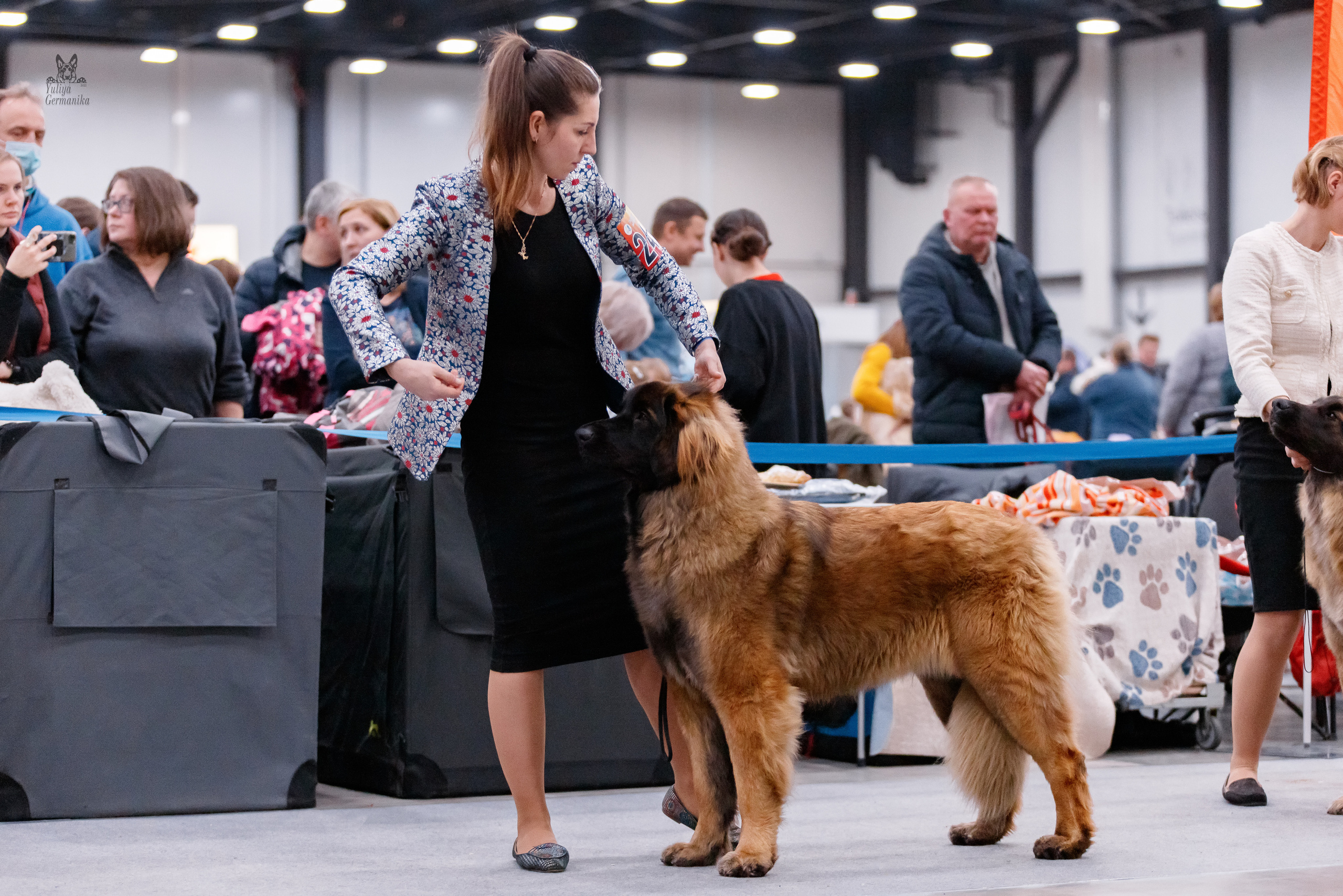 Питер 17-18.12.2022. Фотограф-анималист Юлия Германика