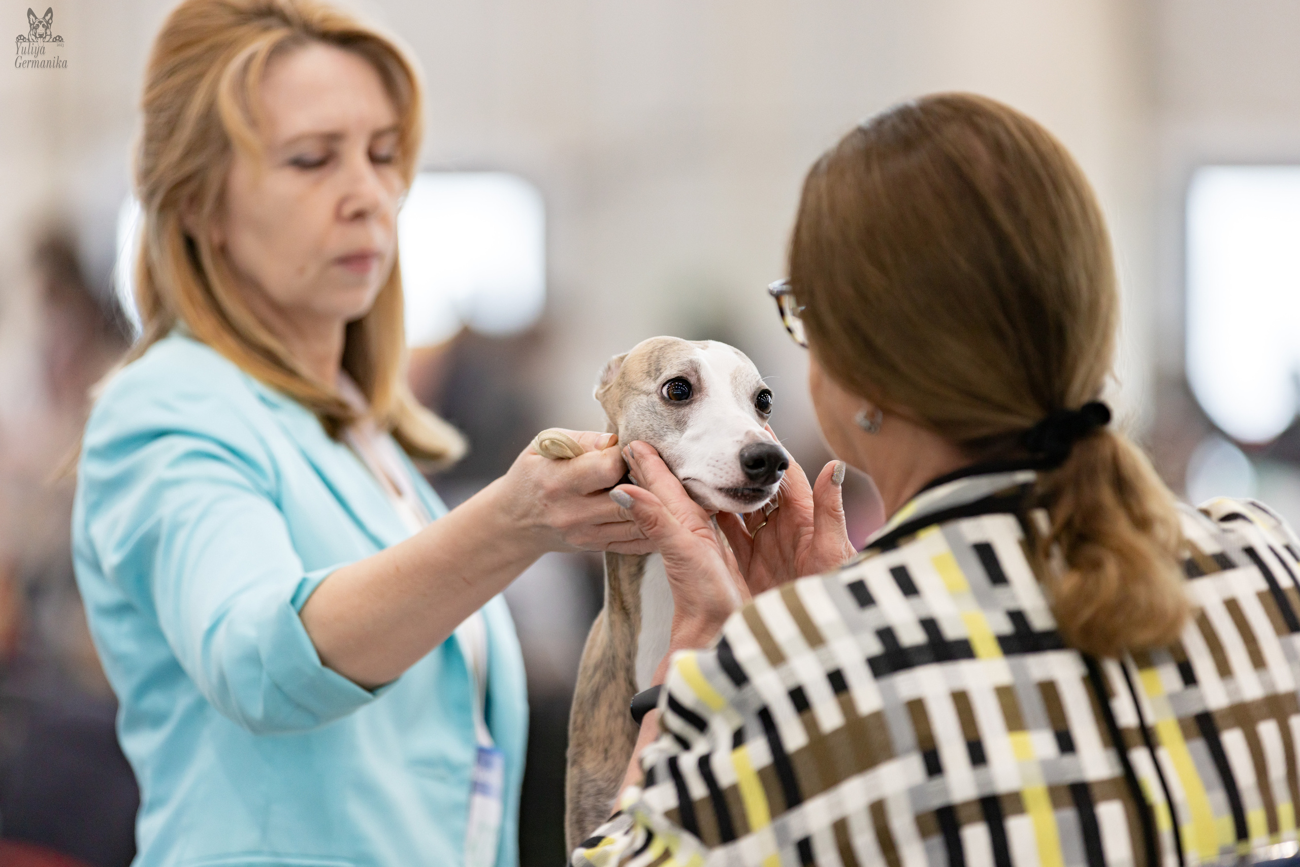 Сабанеевка,Казань 28-29.01.2023. Фотограф-анималист Юлия Германика