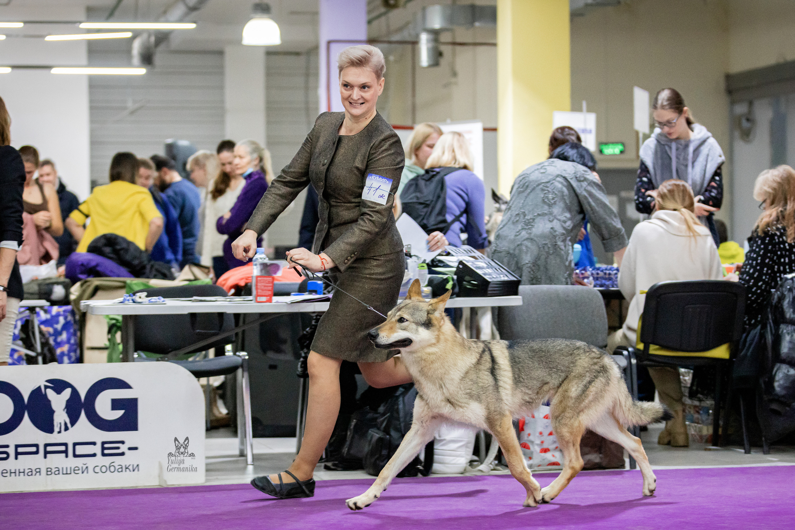 Чайна-Таун 24-25.12.2022. Фотограф-анималист Юлия Германика