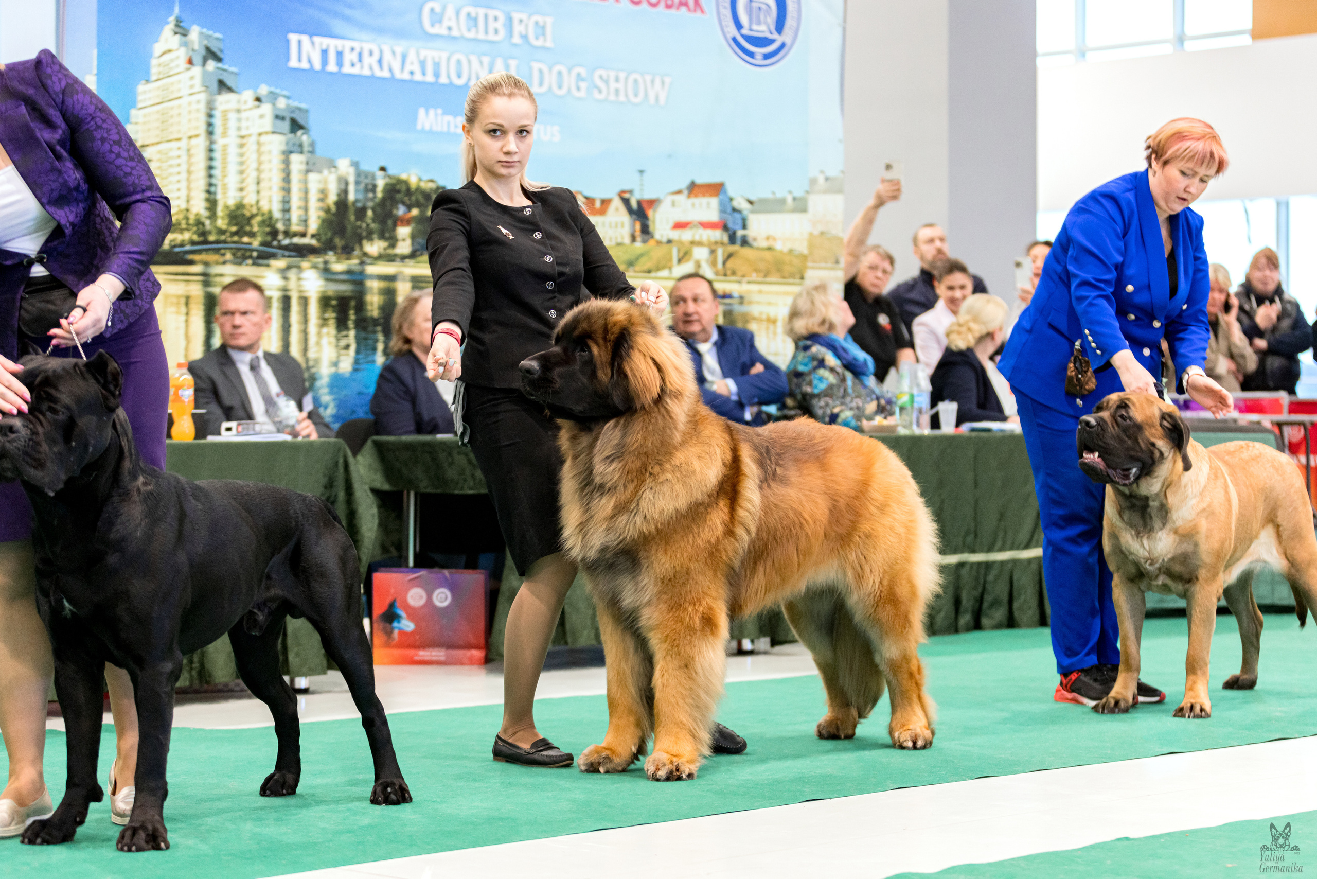 Минск 25-26.02.2023. Фотограф-анималист Юлия Германика