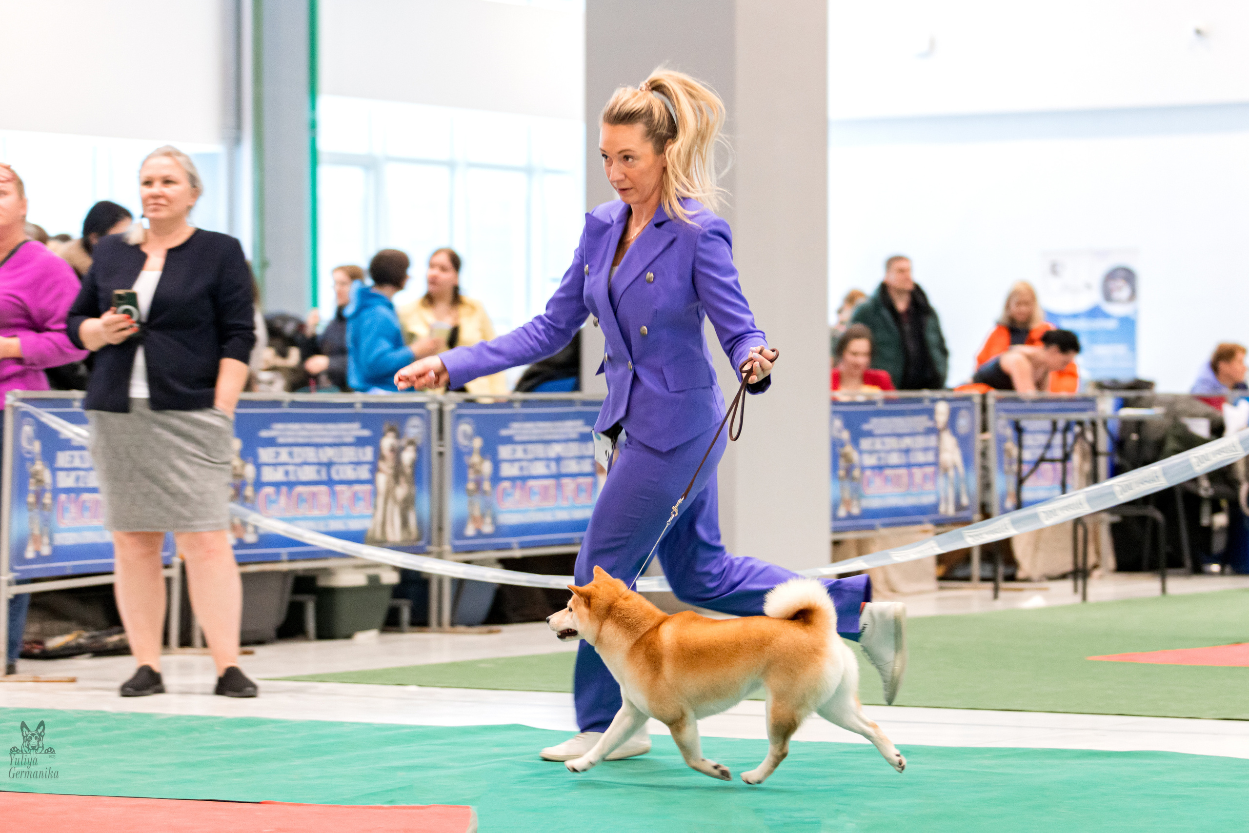 Минск 25-26.02.2023. Фотограф-анималист Юлия Германика