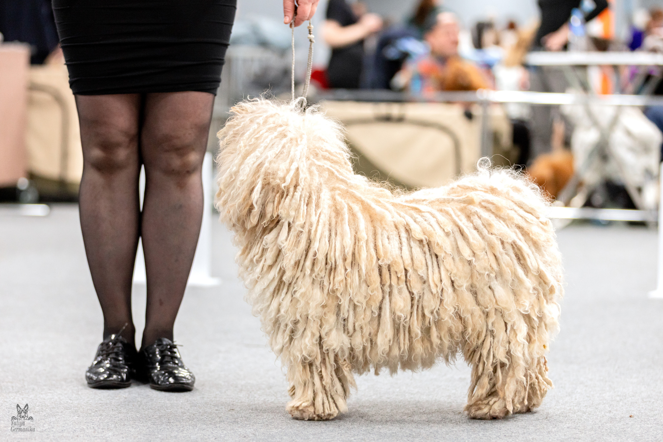 Сфера 5.03.2023. Фотограф-анималист Юлия Германика