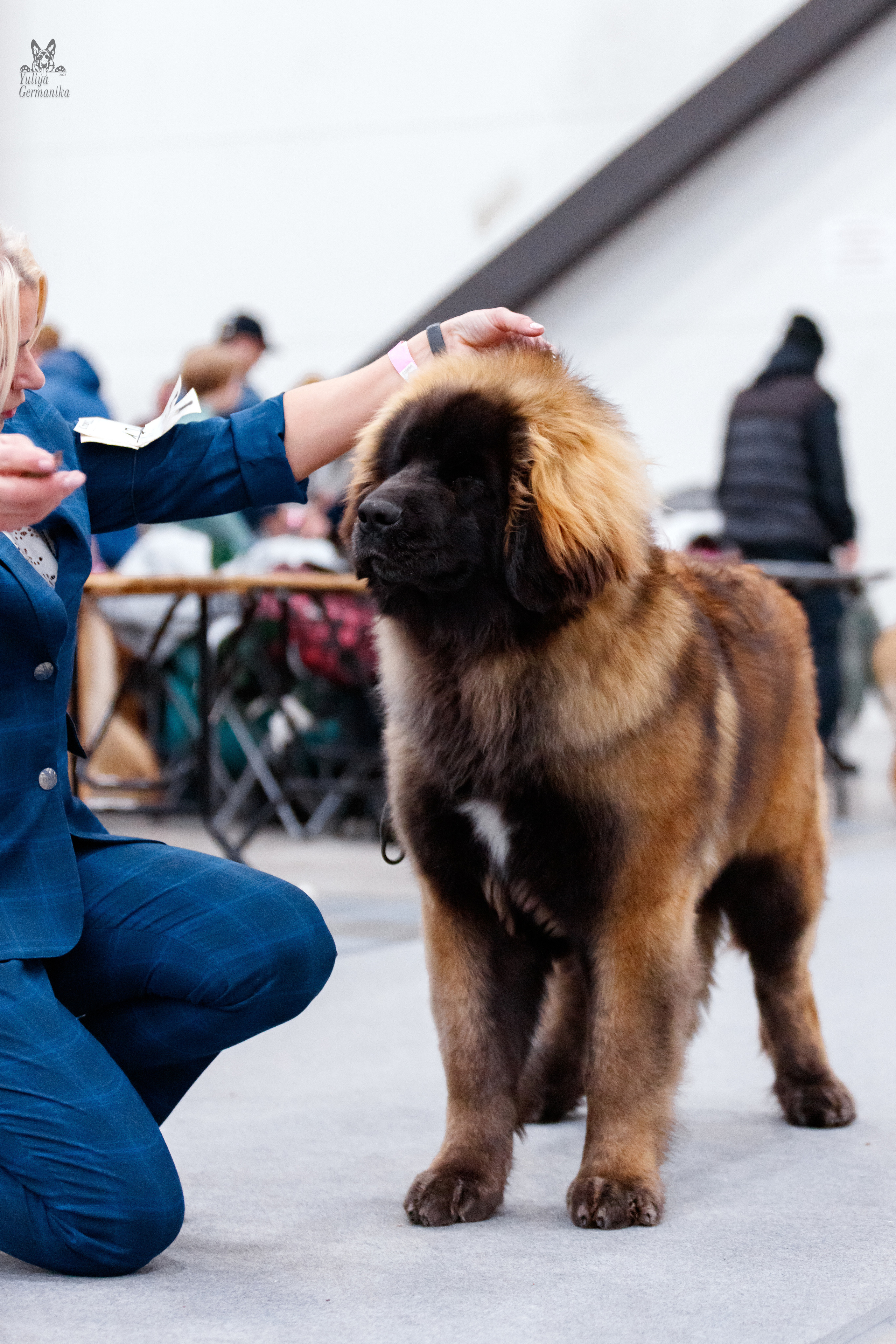 Питер 17-18.12.2022. Фотограф-анималист Юлия Германика