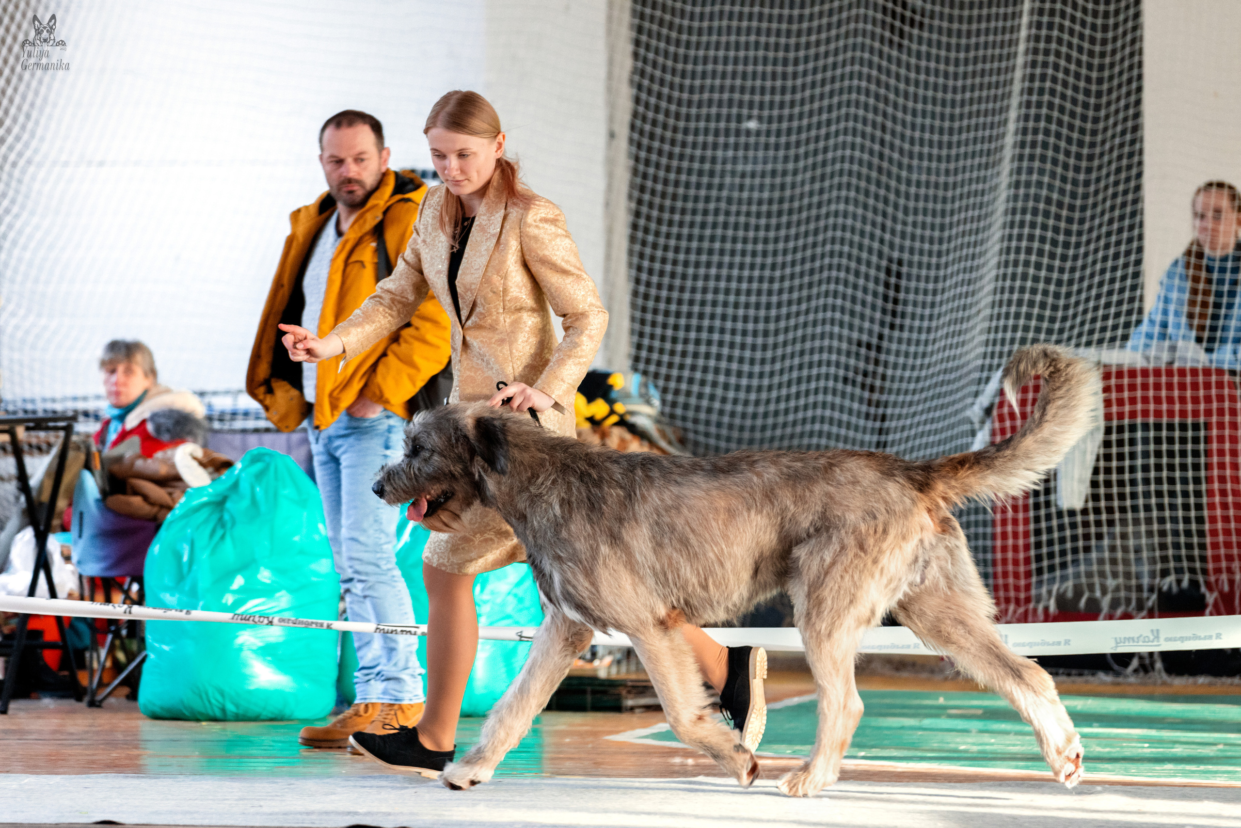 Тверь 19.03.2023. Фотограф-анималист Юлия Германика
