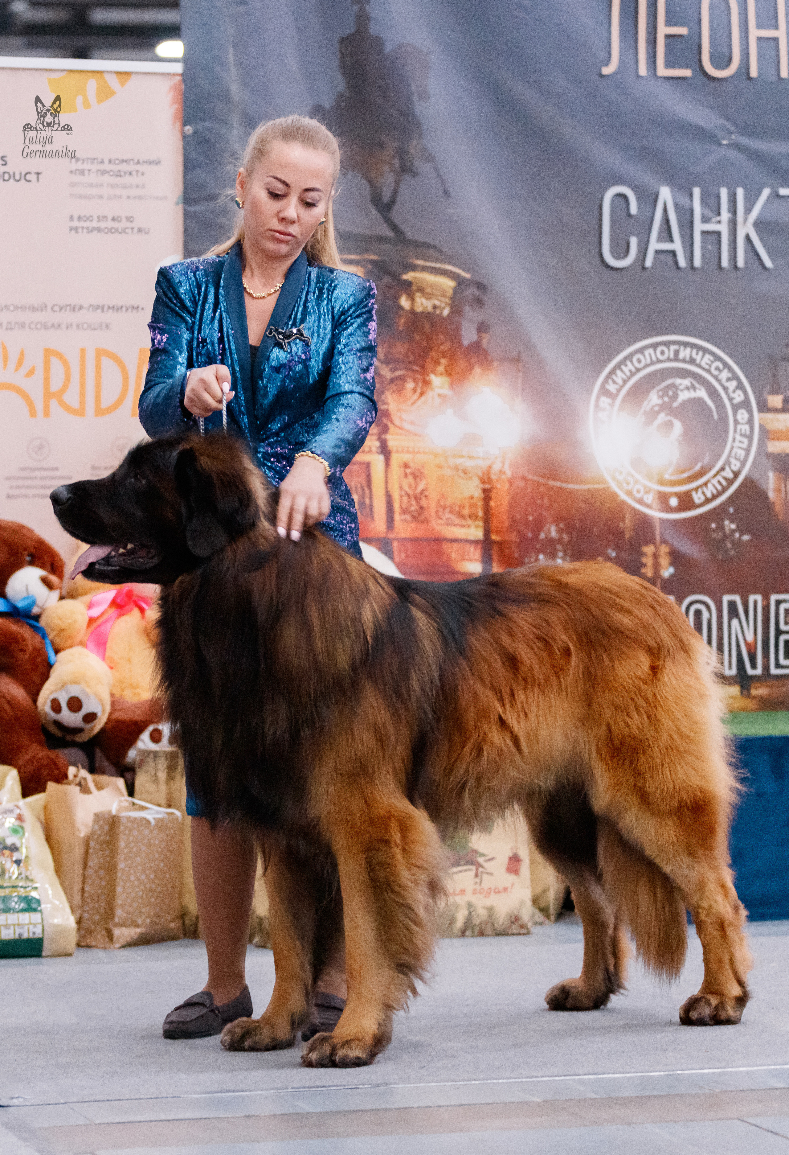 Питер 17-18.12.2022. Фотограф-анималист Юлия Германика