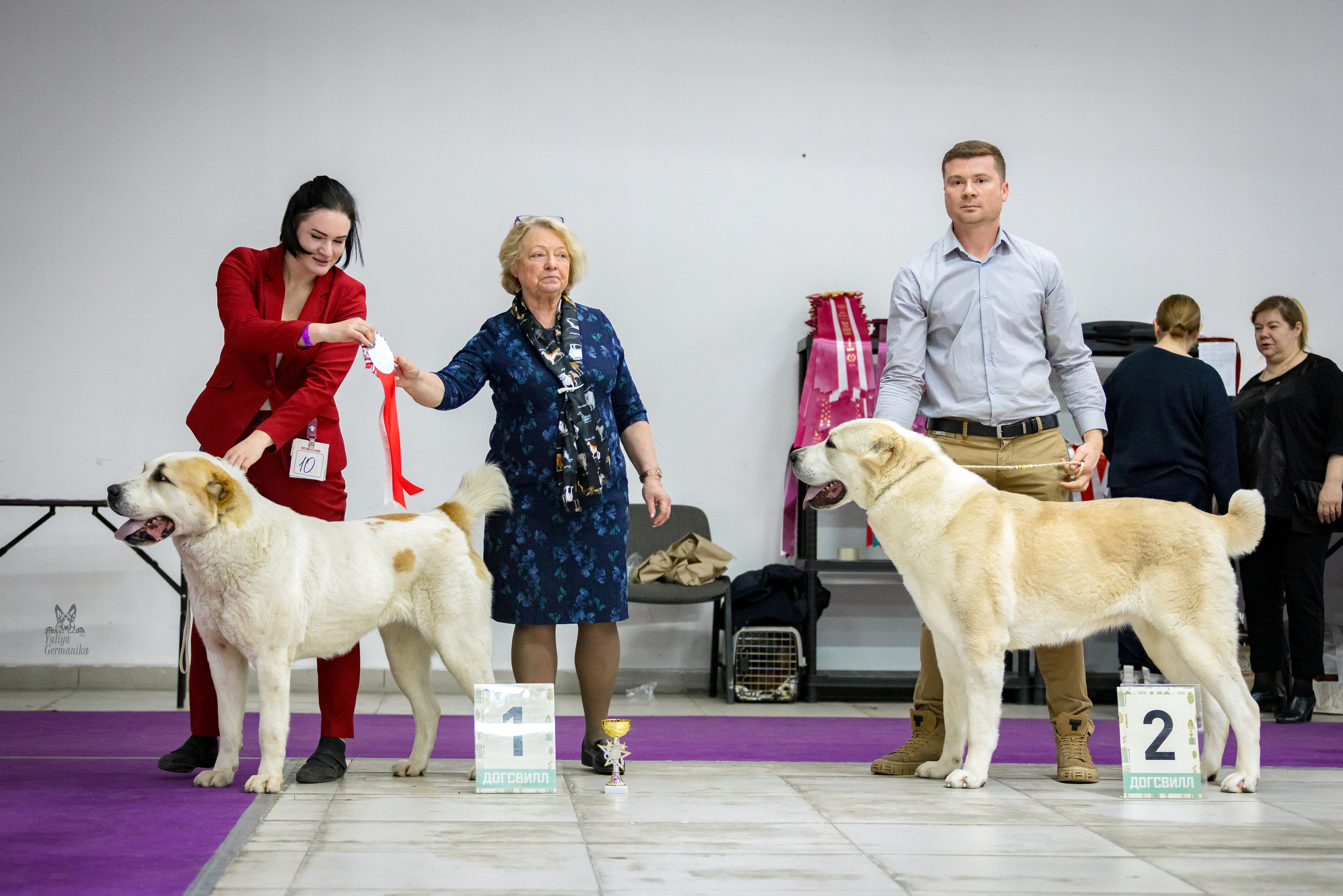 Чайна-Таун 5-8.01.2023. Фотограф-анималист Юлия Германика