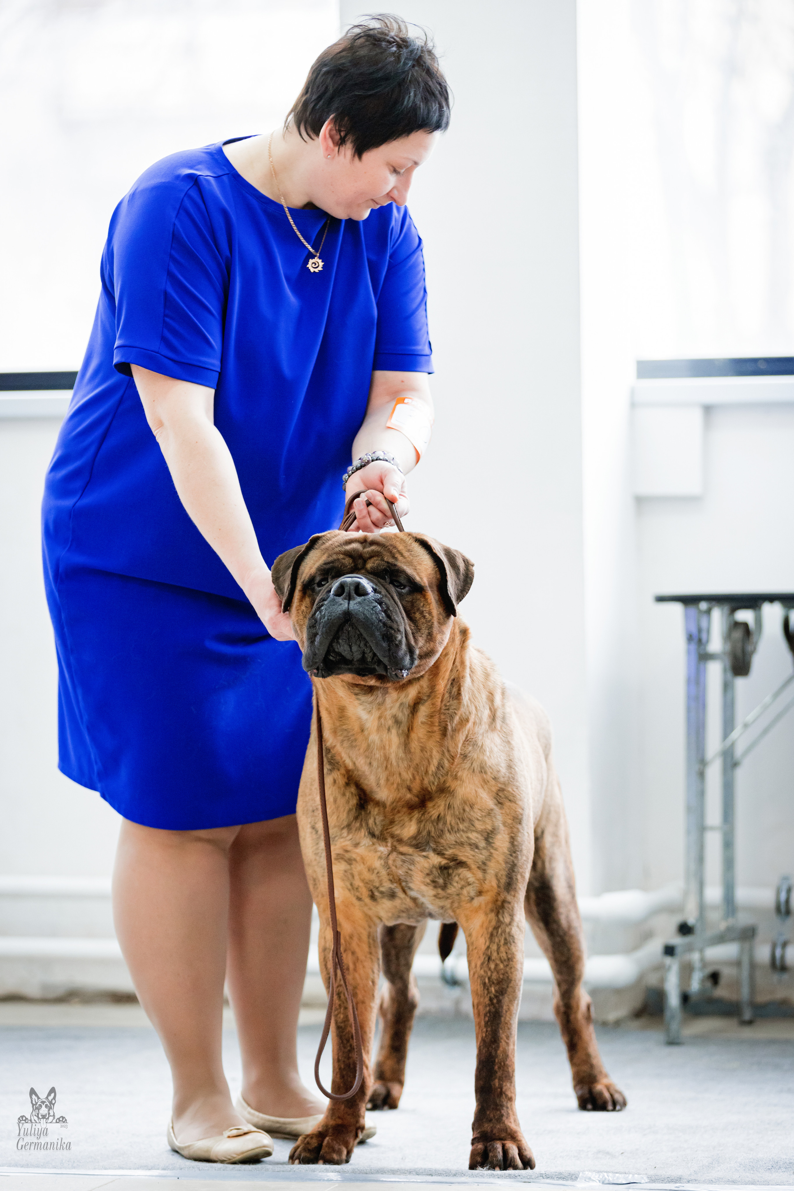 Тверь 19.02.2023. Фотограф-анималист Юлия Германика