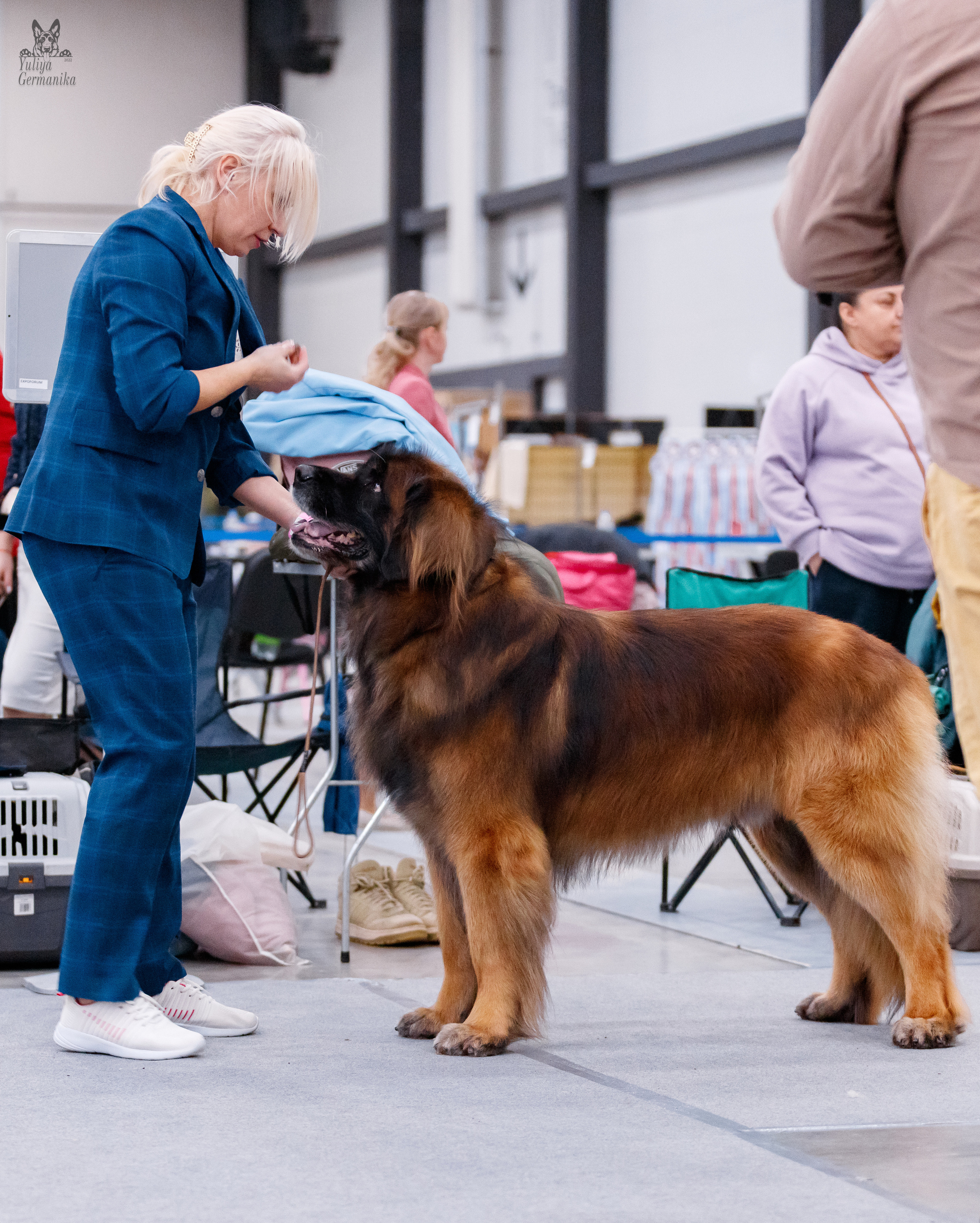 Питер 17-18.12.2022. Фотограф-анималист Юлия Германика