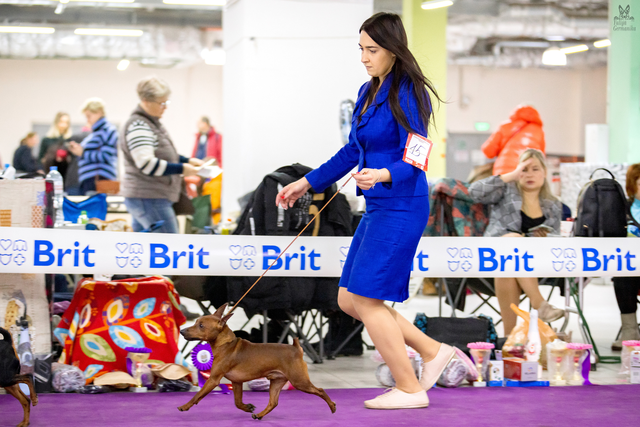 Чайна-Таун 5-8.01.2023. Фотограф-анималист Юлия Германика