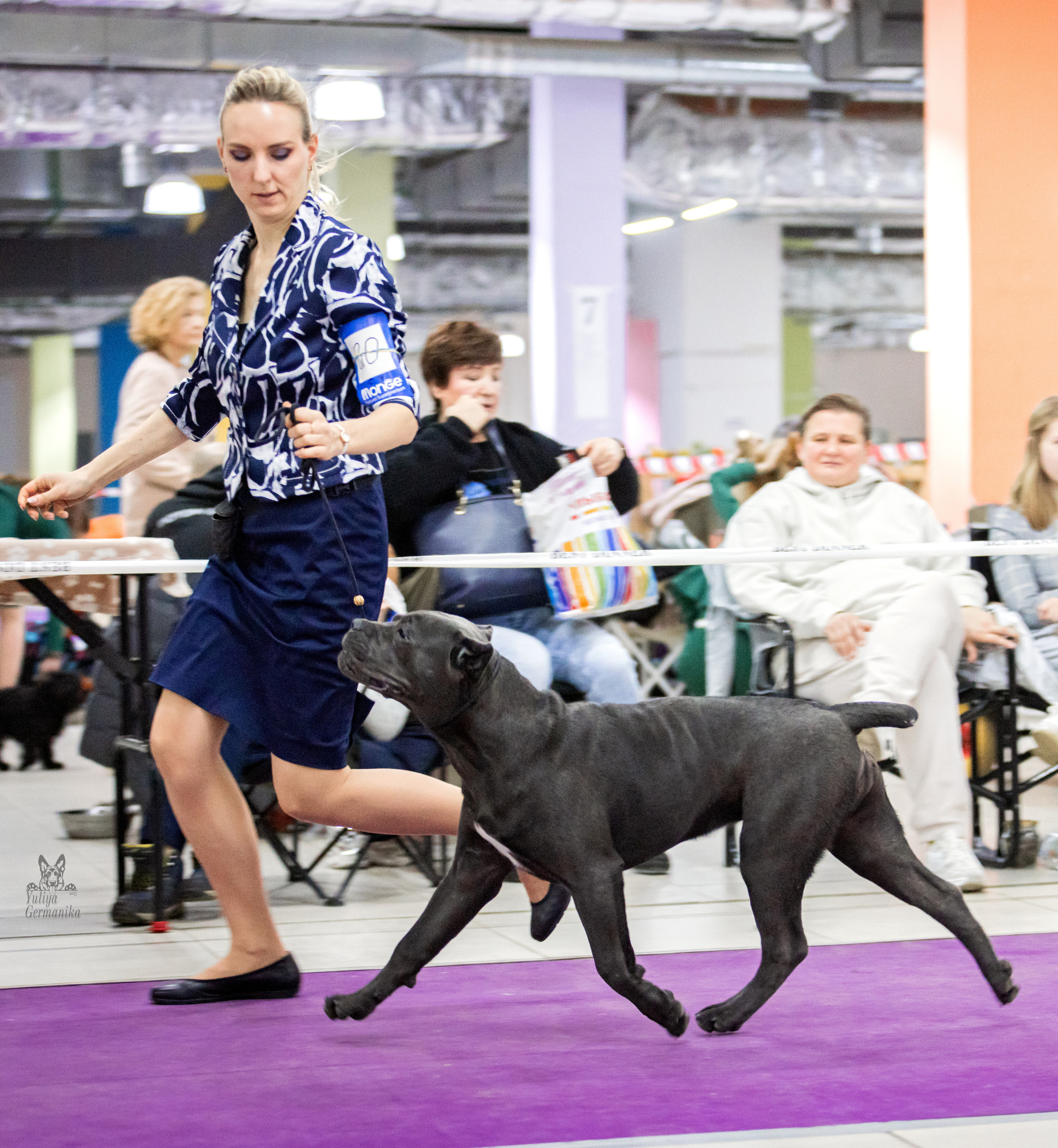 Чайна-Таун 15,21 и 22.01.2023. Фотограф-анималист Юлия Германика