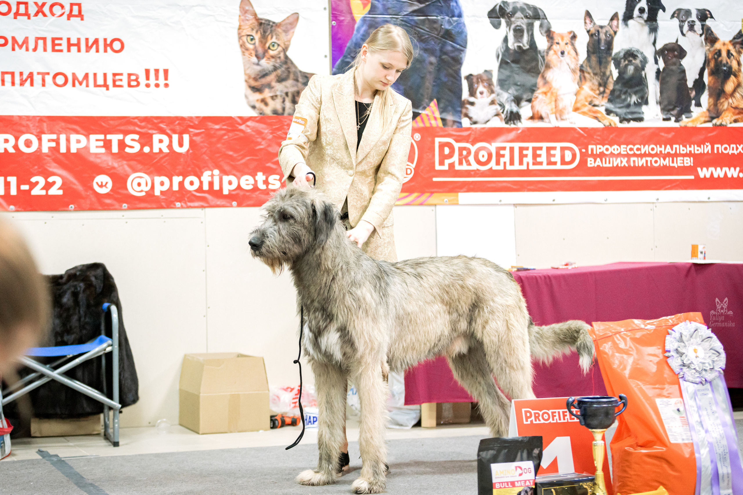 Тверь 19.02.2023. Фотограф-анималист Юлия Германика