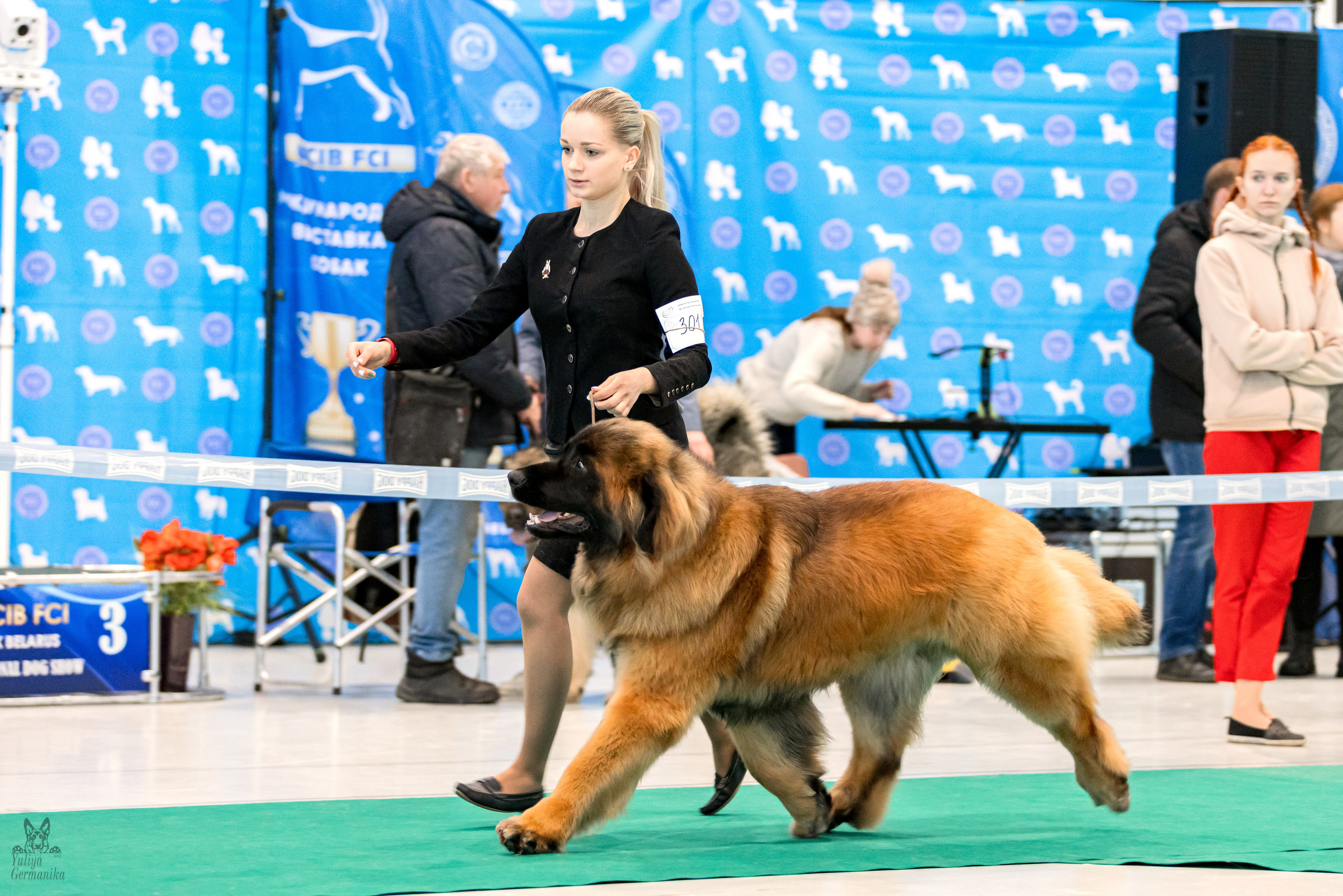 Минск 25-26.02.2023. Фотограф-анималист Юлия Германика