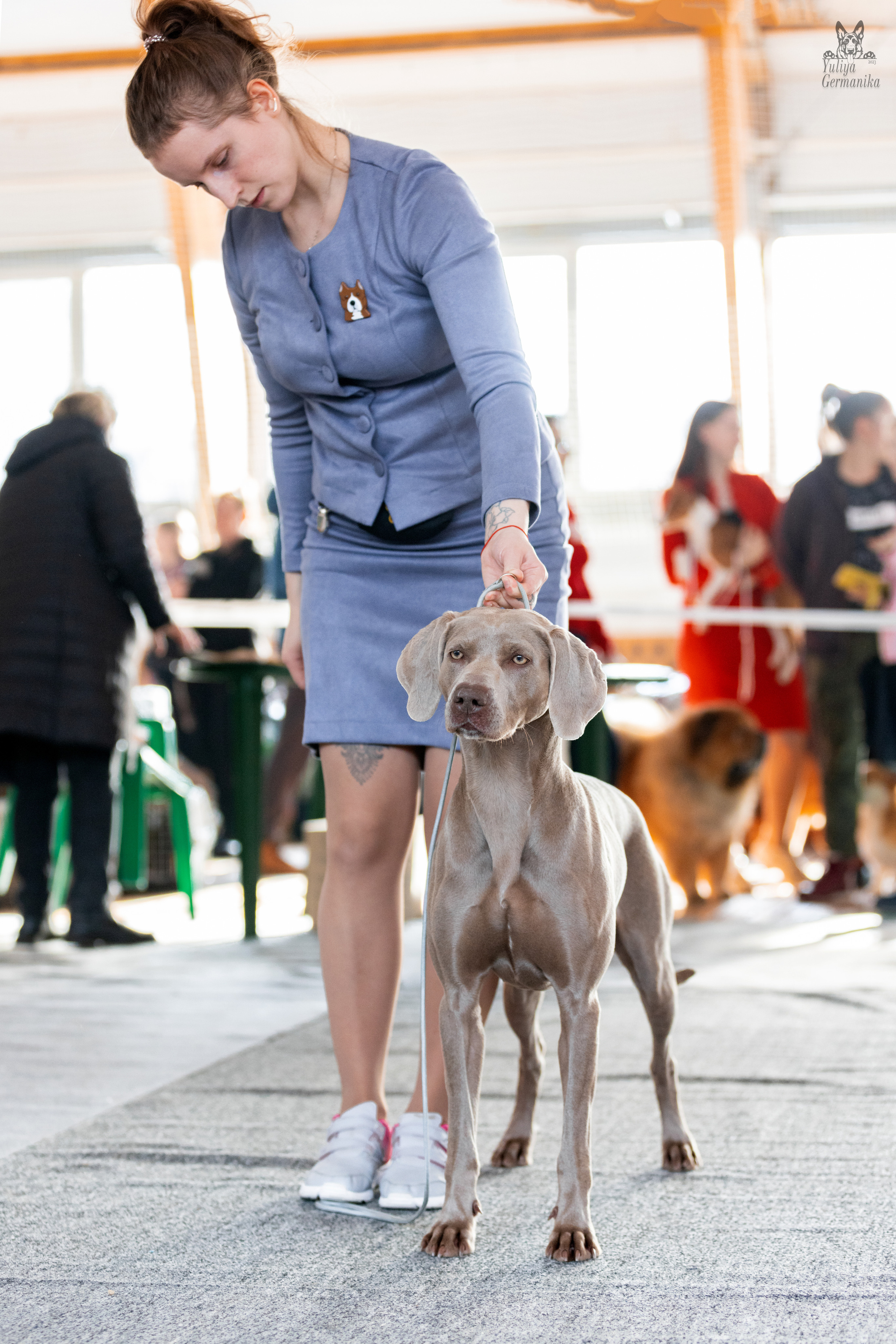 Тверь 19.03.2023. Фотограф-анималист Юлия Германика