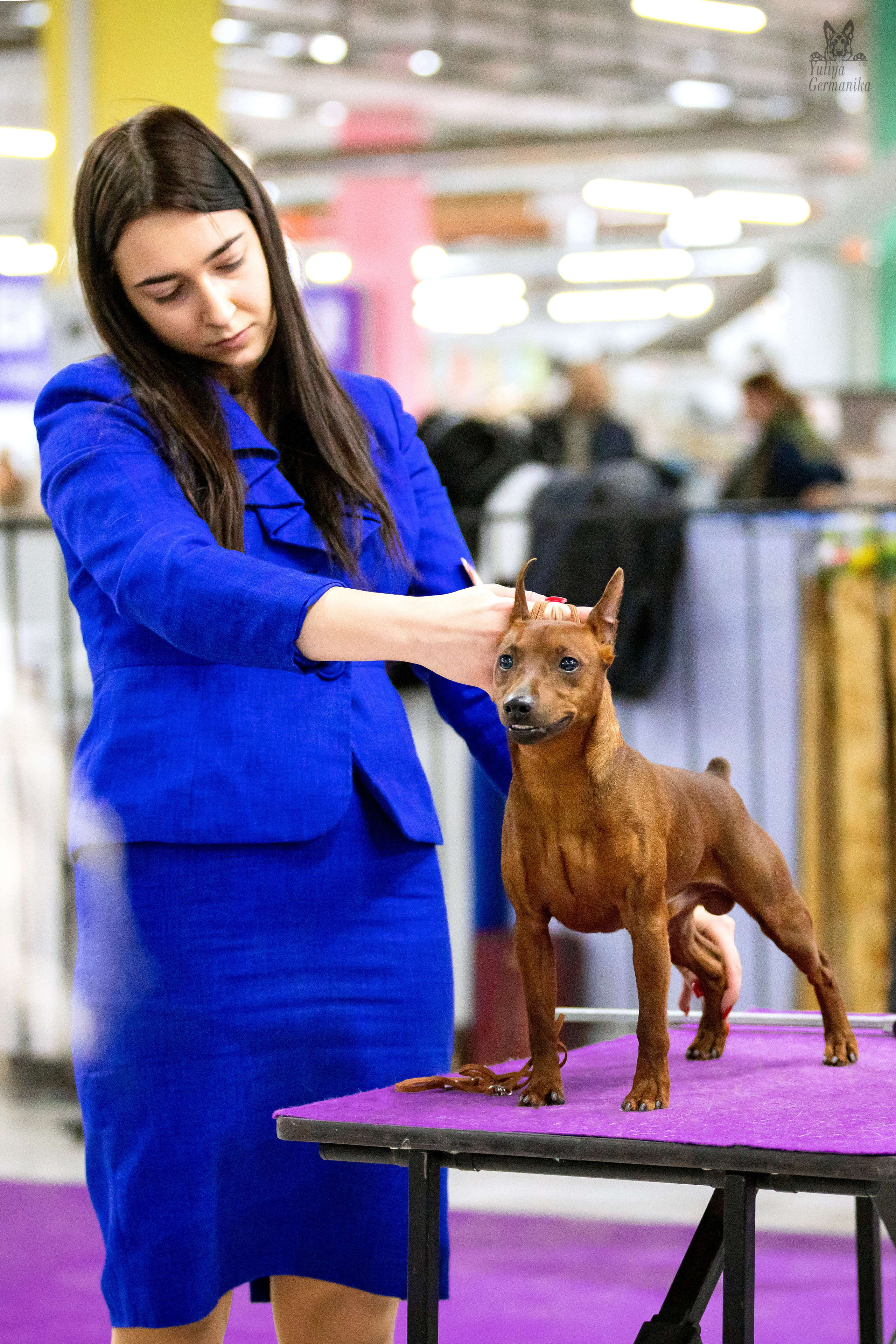 Чайна-Таун 5-8.01.2023. Фотограф-анималист Юлия Германика