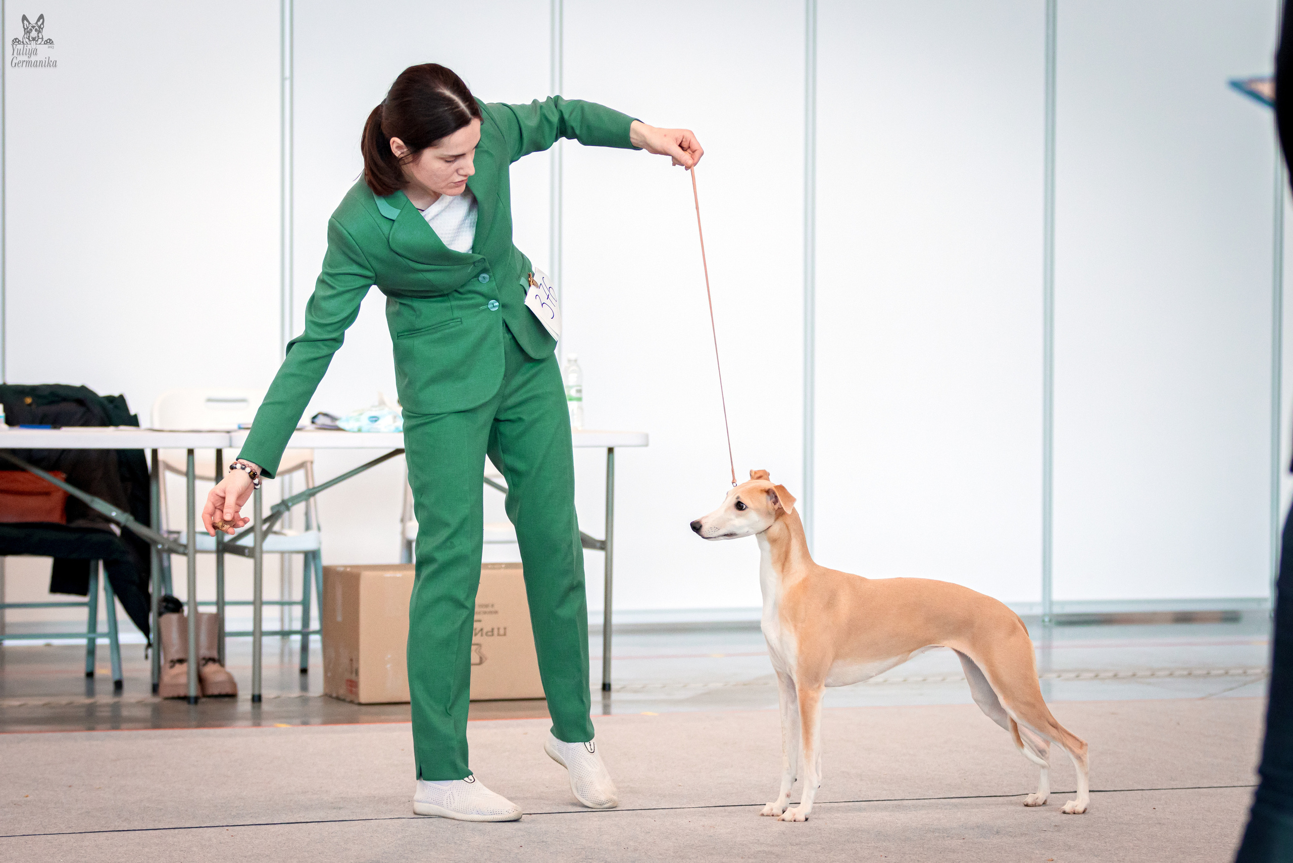 Казань 11.03.2023. Фотограф-анималист Юлия Германика