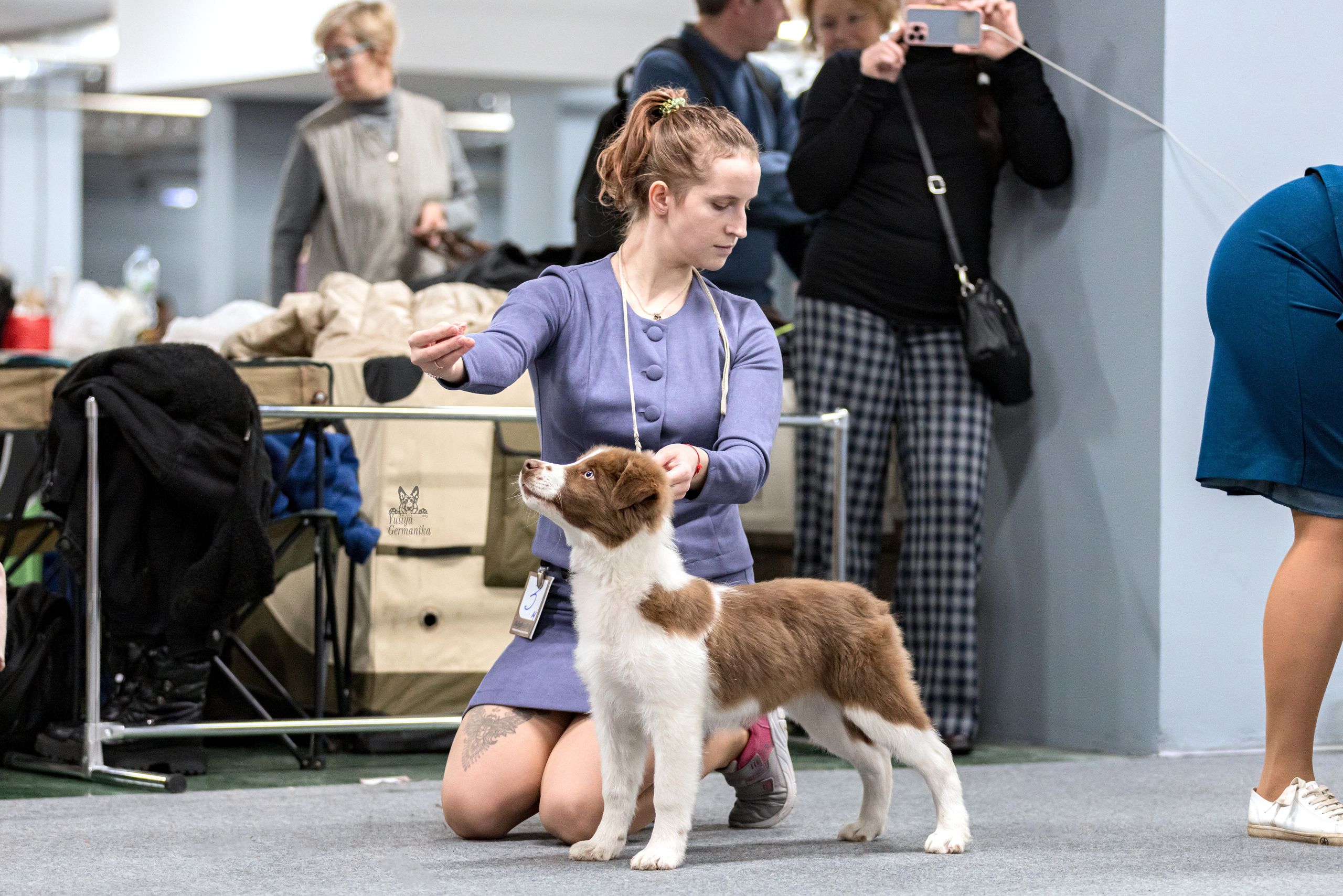 Сфера 5.03.2023. Фотограф-анималист Юлия Германика